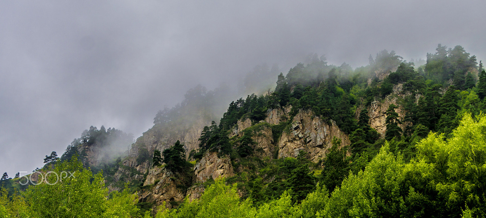 Nikon D3200 + Nikon PC-E Nikkor 24mm F3.5D ED Tilt-Shift sample photo. Series "fog" photography