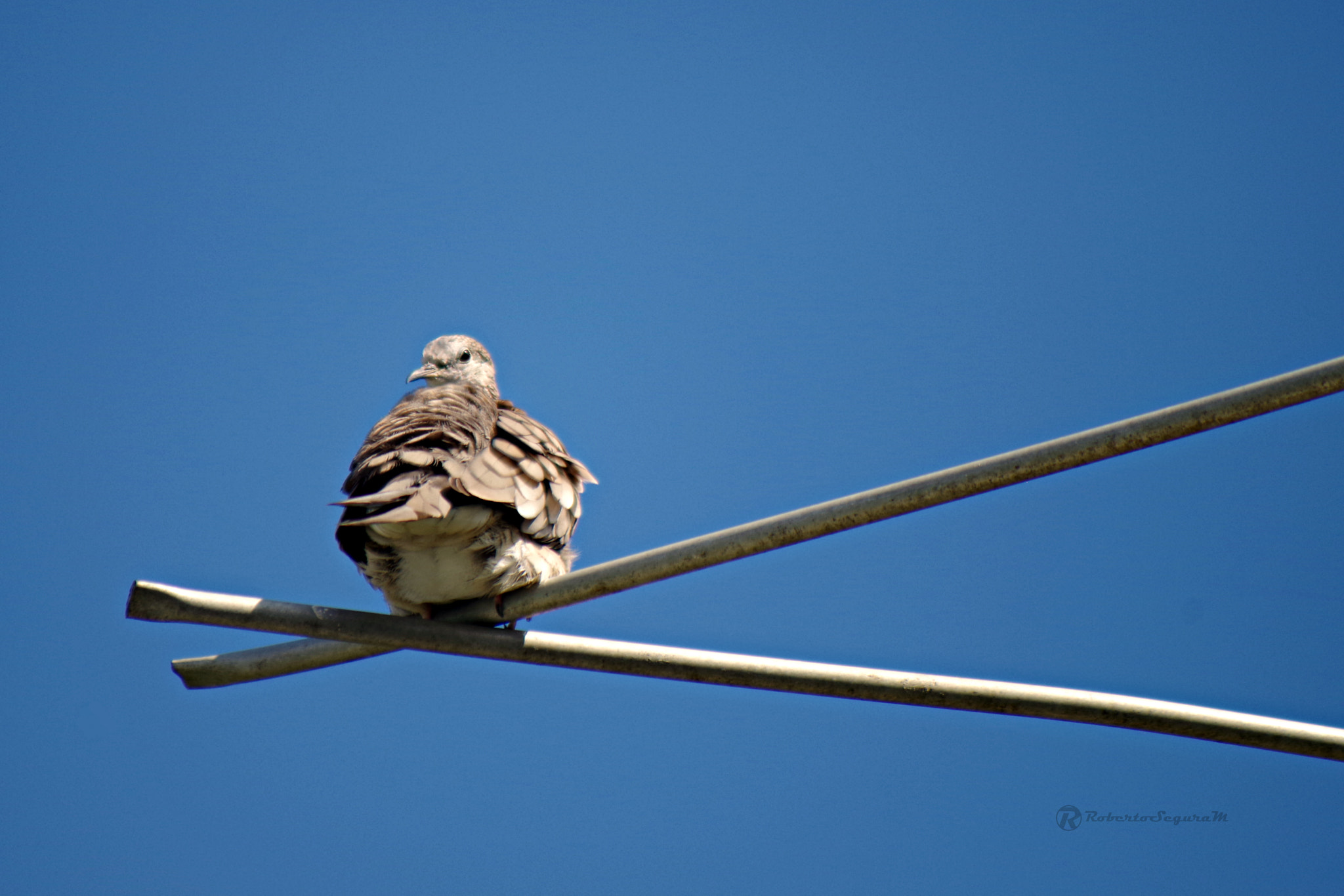 smc PENTAX-FA 80-320mm F4.5-5.6 sample photo. Voladizo photography