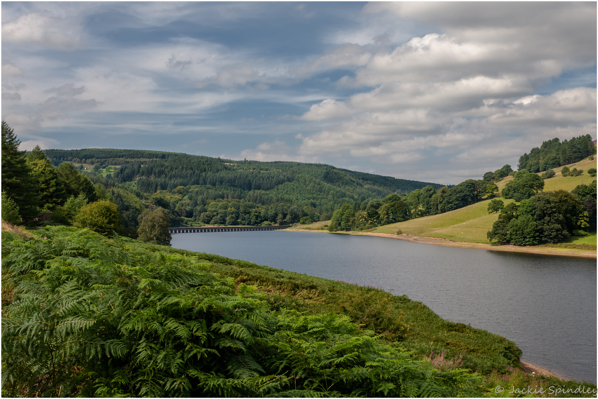 Canon EOS 40D + Sigma 24-70mm F2.8 EX DG Macro sample photo. Derwent reservoir photography