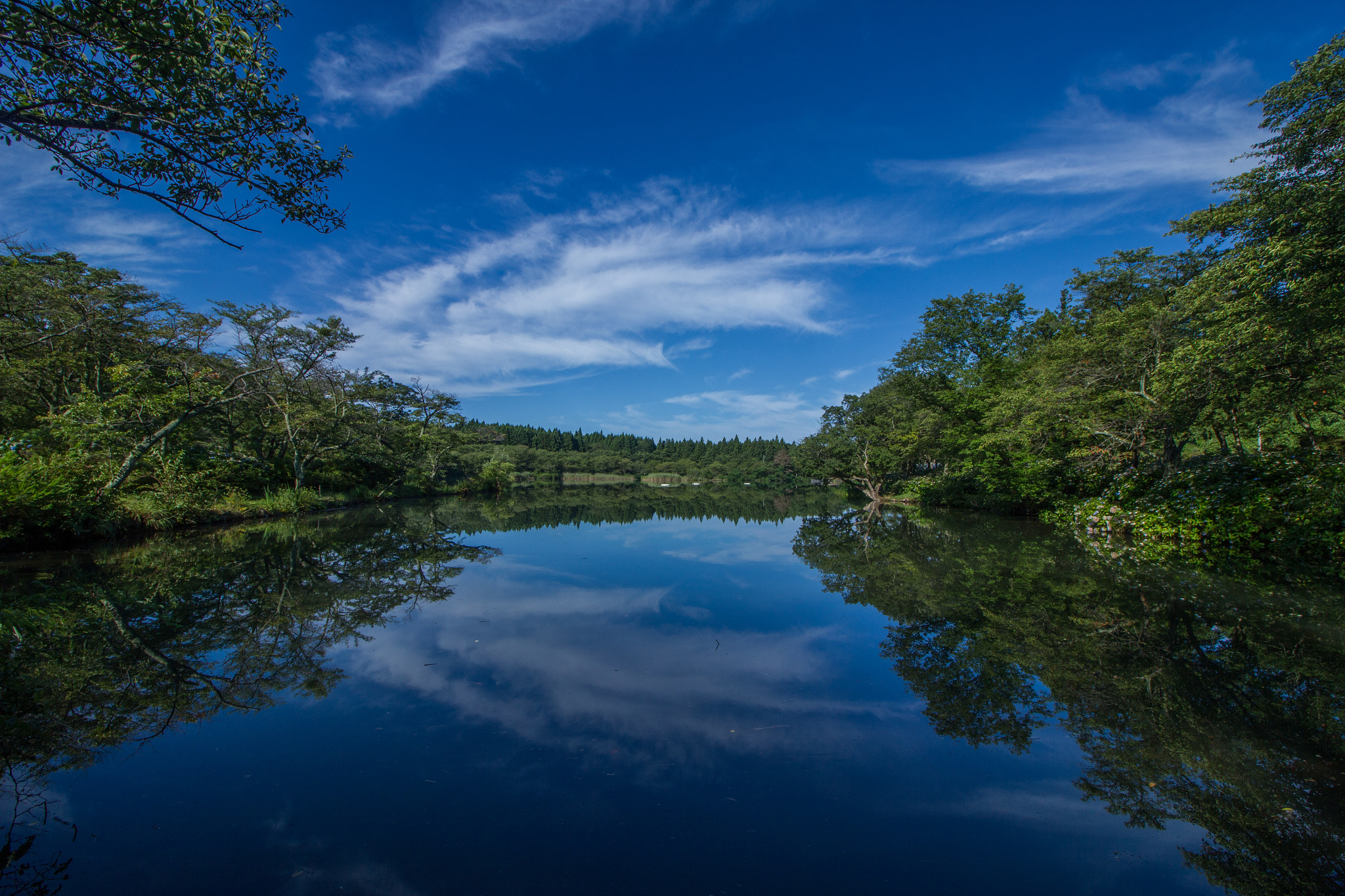 Canon EOS 550D (EOS Rebel T2i / EOS Kiss X4) sample photo. A mirror lake in japan photography