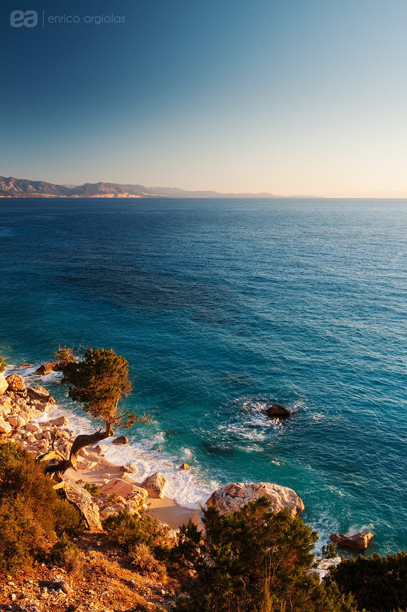 Nikon AF-S Nikkor 16-35mm F4G ED VR sample photo. Life in sardinia 45 photography
