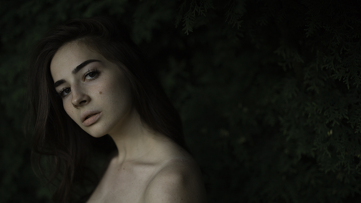 Canon EF 35mm F1.4L II USM sample photo. крис photography