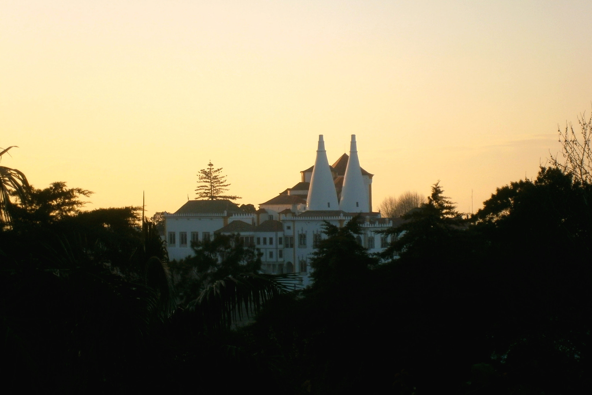 Olympus VG160,X990,D745 sample photo. Royal palace of sintra photography