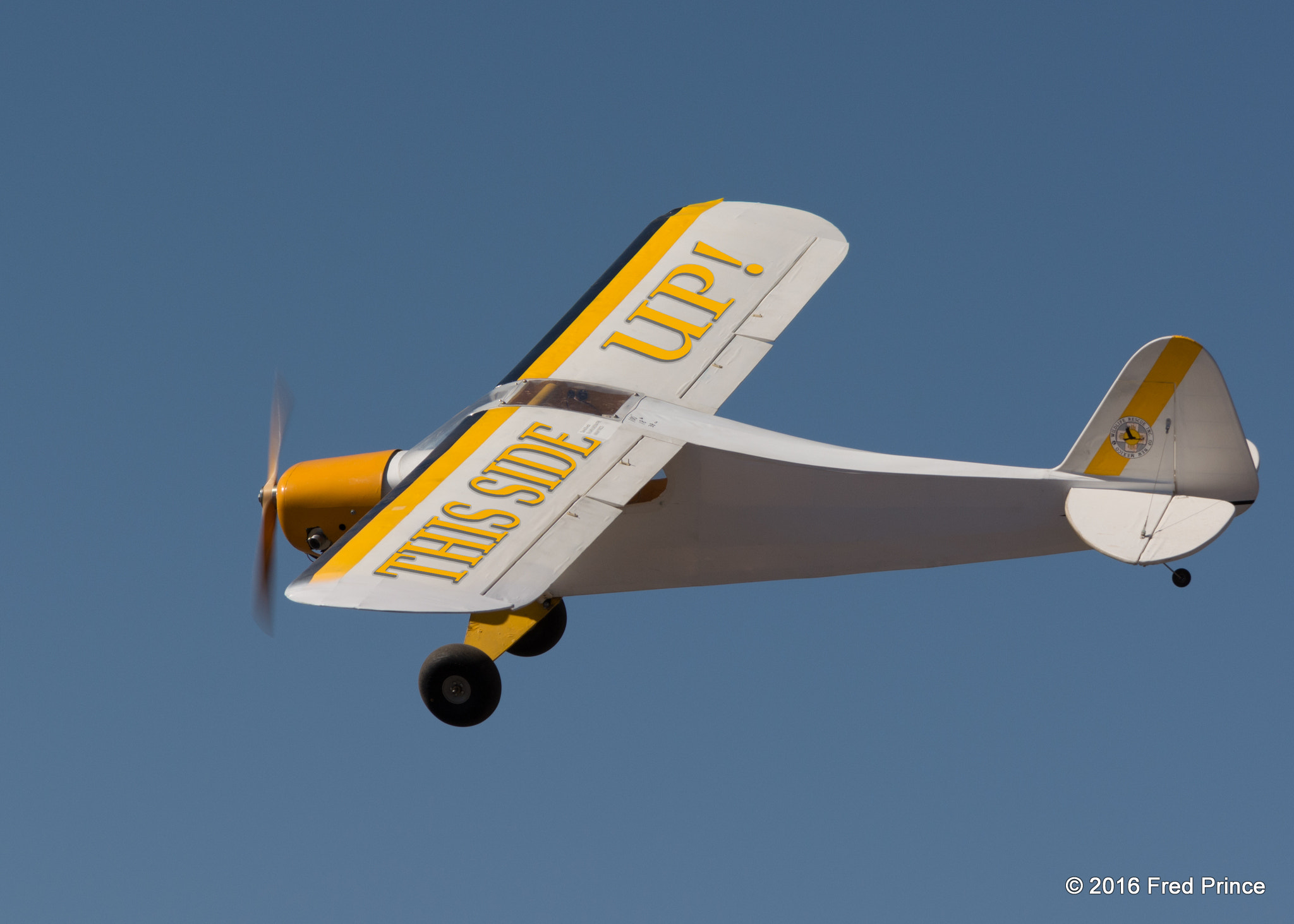 Nikon AF-S Nikkor 24-120mm F4G ED VR sample photo. Wing lettering photography