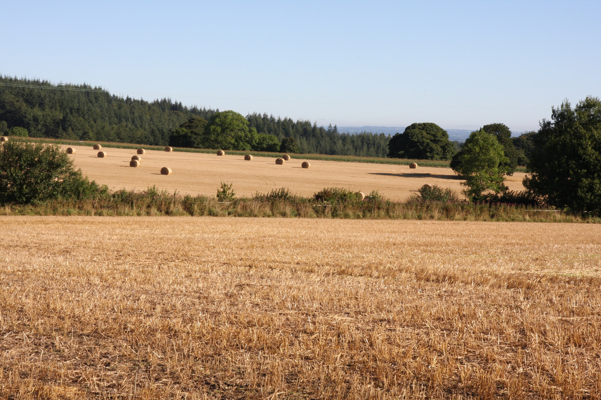 Canon EOS 40D sample photo. Harvest photography