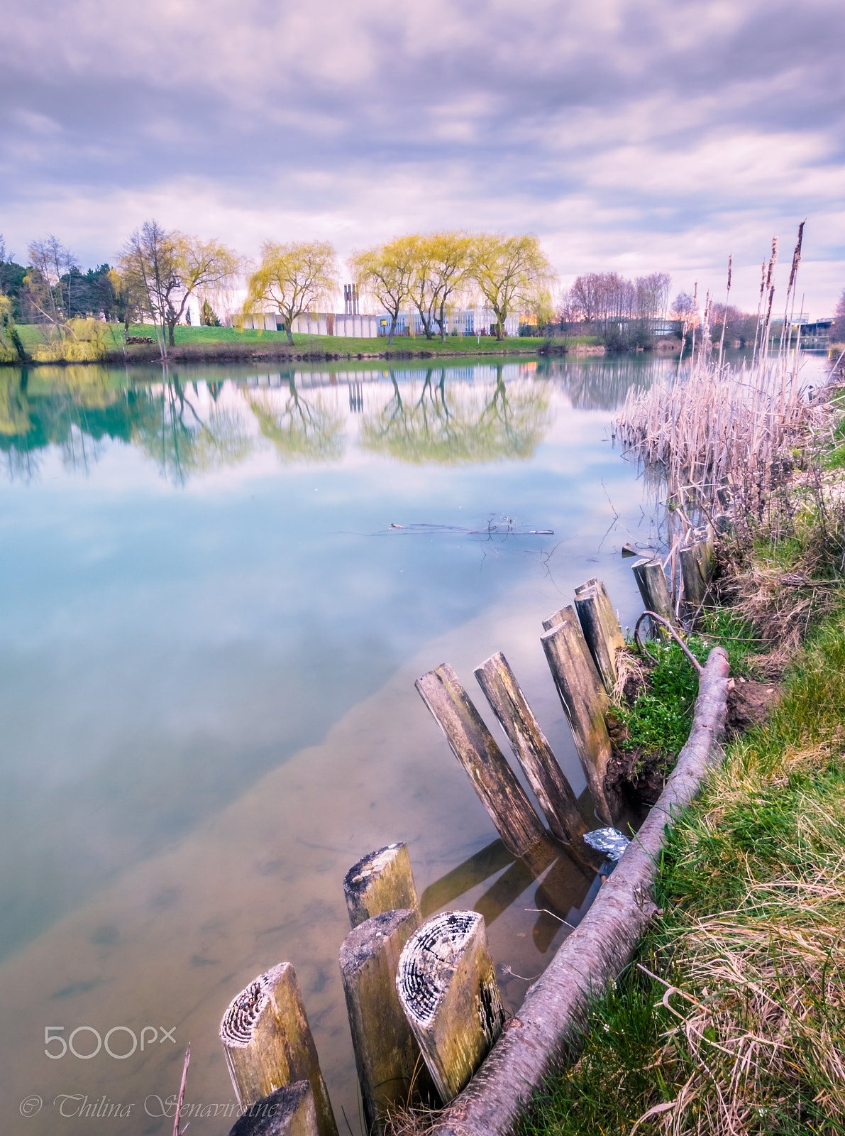 Olympus OM-D E-M1 + OLYMPUS M.9-18mm F4.0-5.6 sample photo. Evening moment by the lake... photography