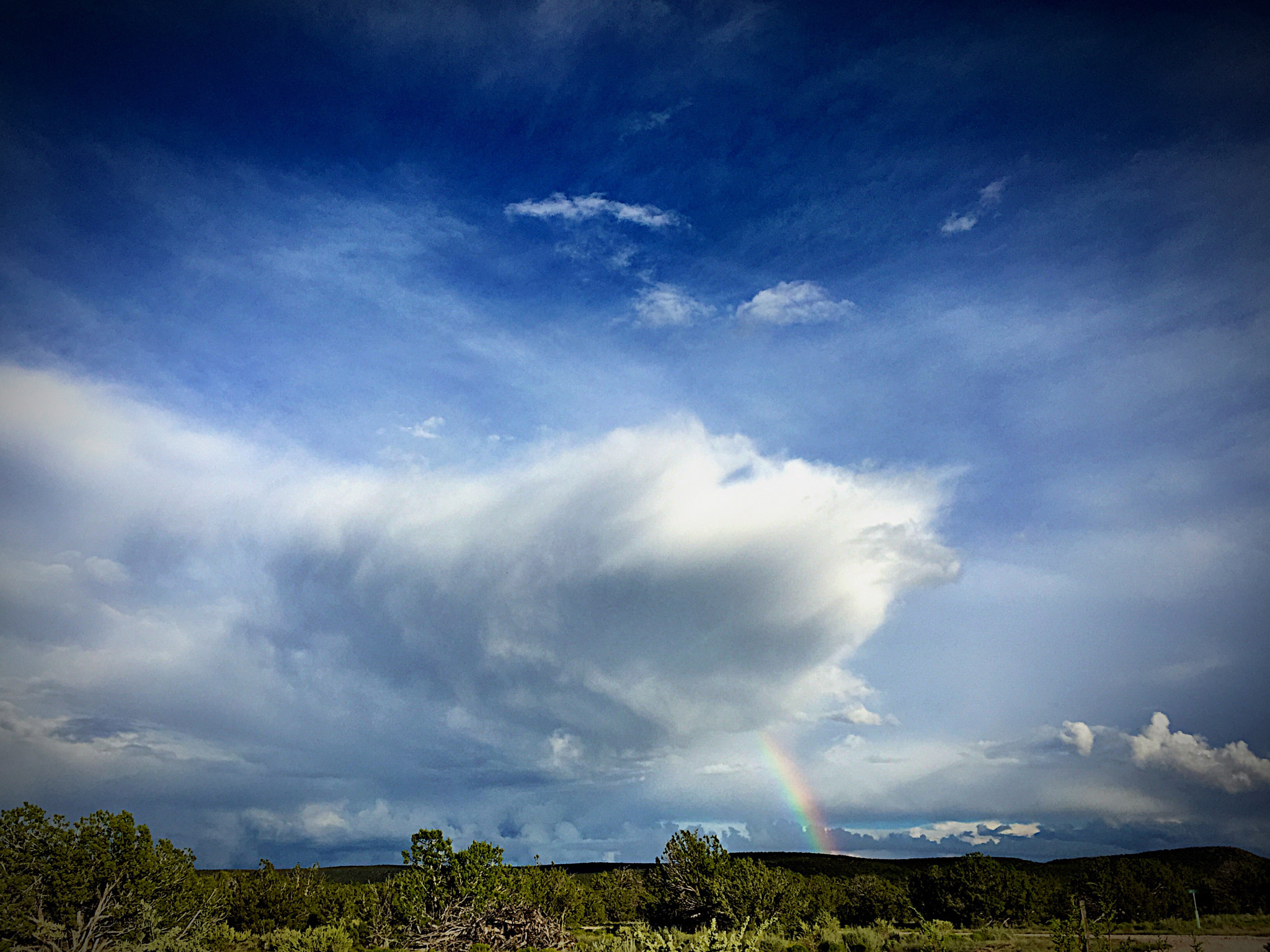 Apple iPhone7,2 sample photo. Bolt of rainbow photography