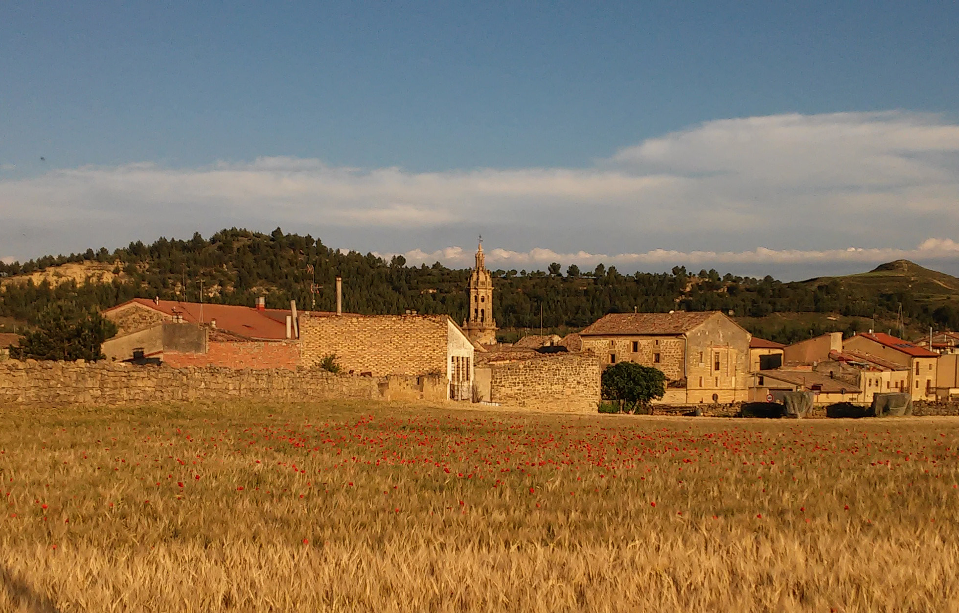 LG G2 MINI sample photo. Cuzcu de dia photography