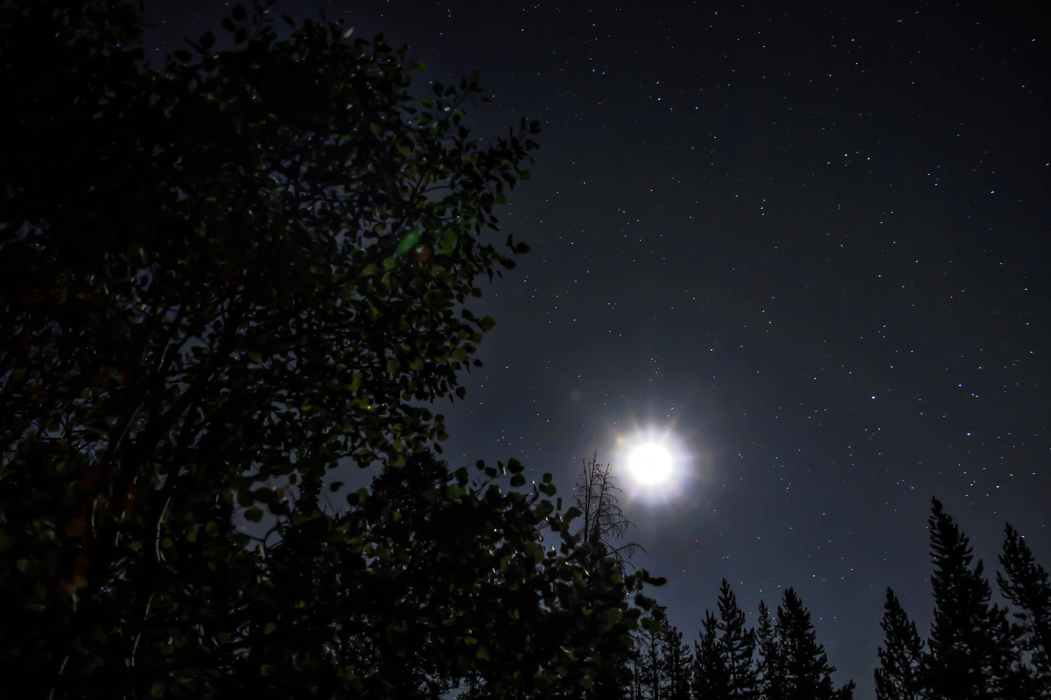 Canon EOS 550D (EOS Rebel T2i / EOS Kiss X4) sample photo. Bear lake, utah. night scape. photography