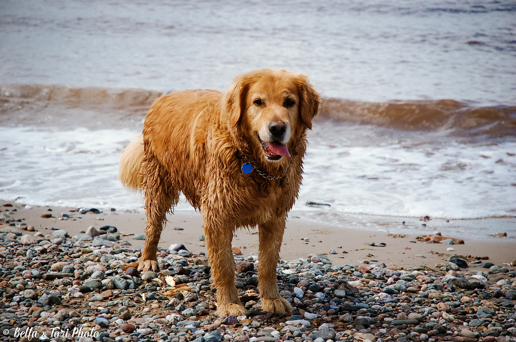 Nikon D50 sample photo. Tucker photography
