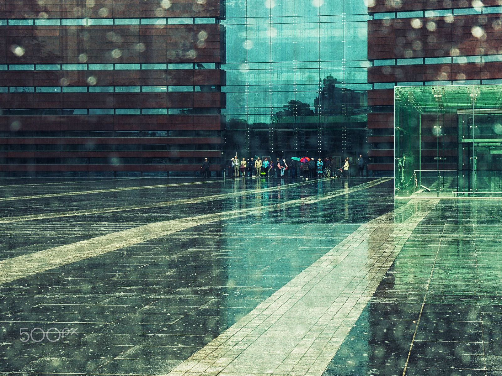 Pentax K-5 II sample photo. Raining song photography