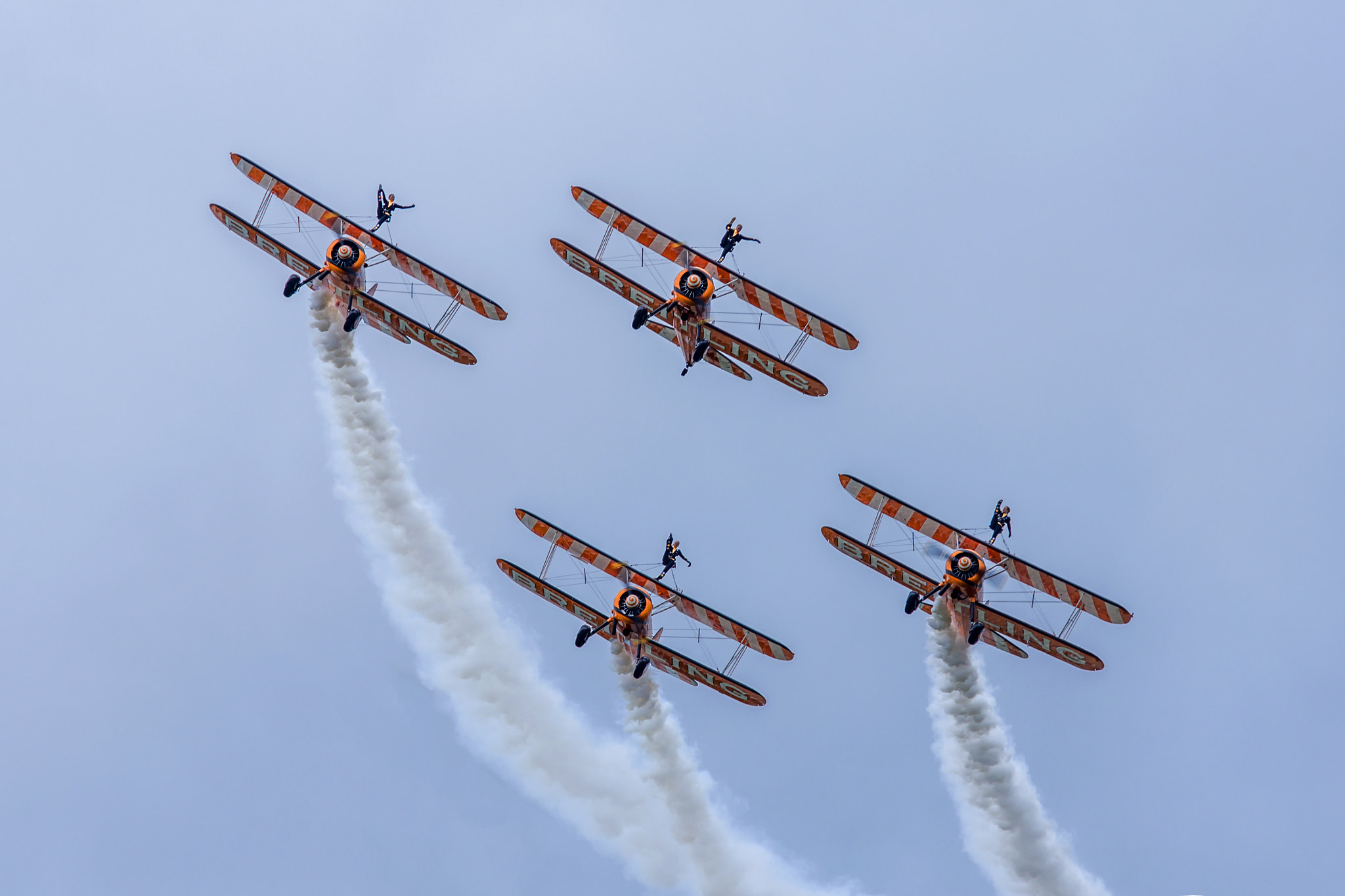 Pentax K-3 II sample photo. Fly photography