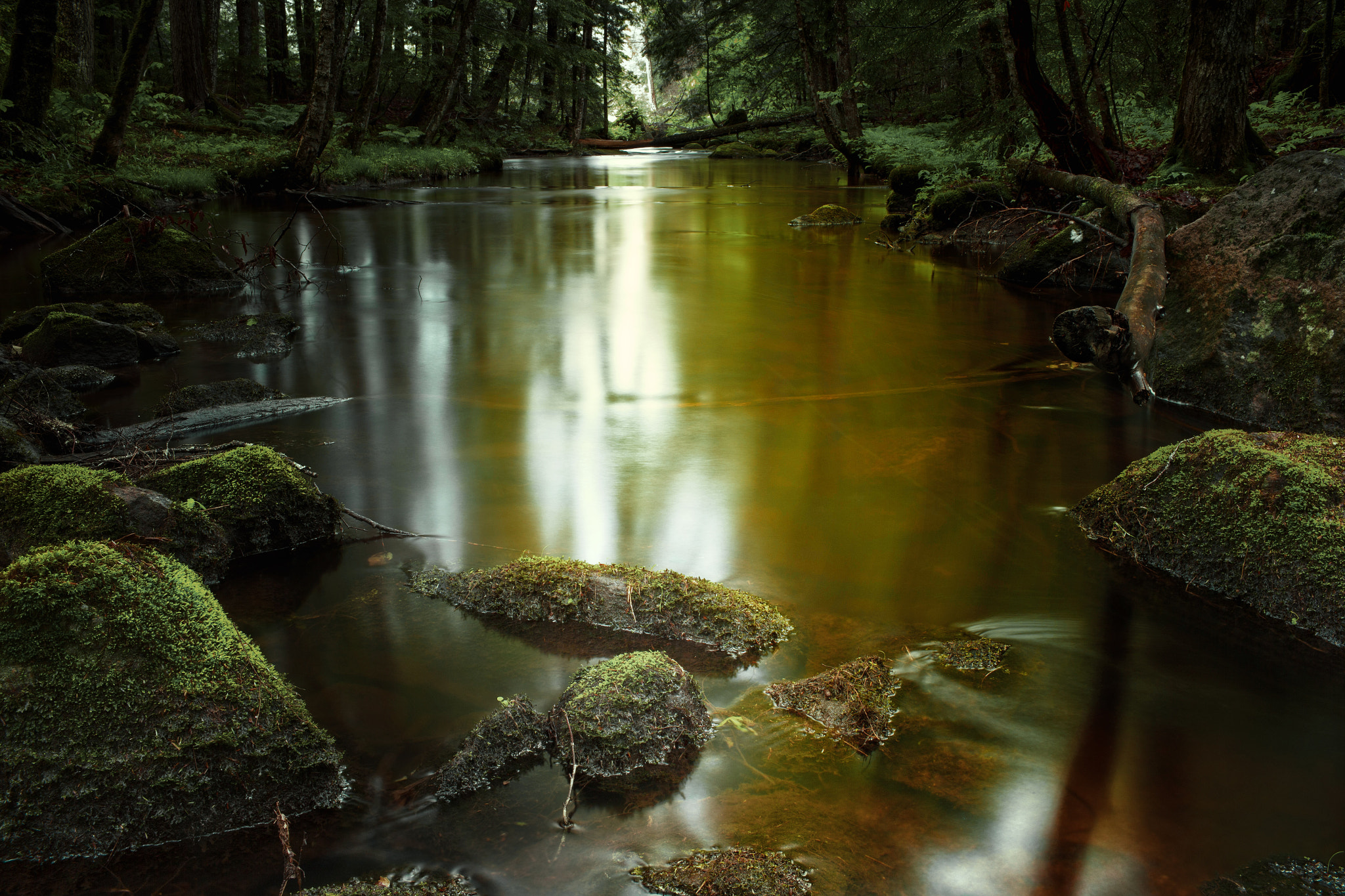 Canon EOS-1D X + Canon EF 35mm F1.4L USM sample photo. Tannin stained waters photography