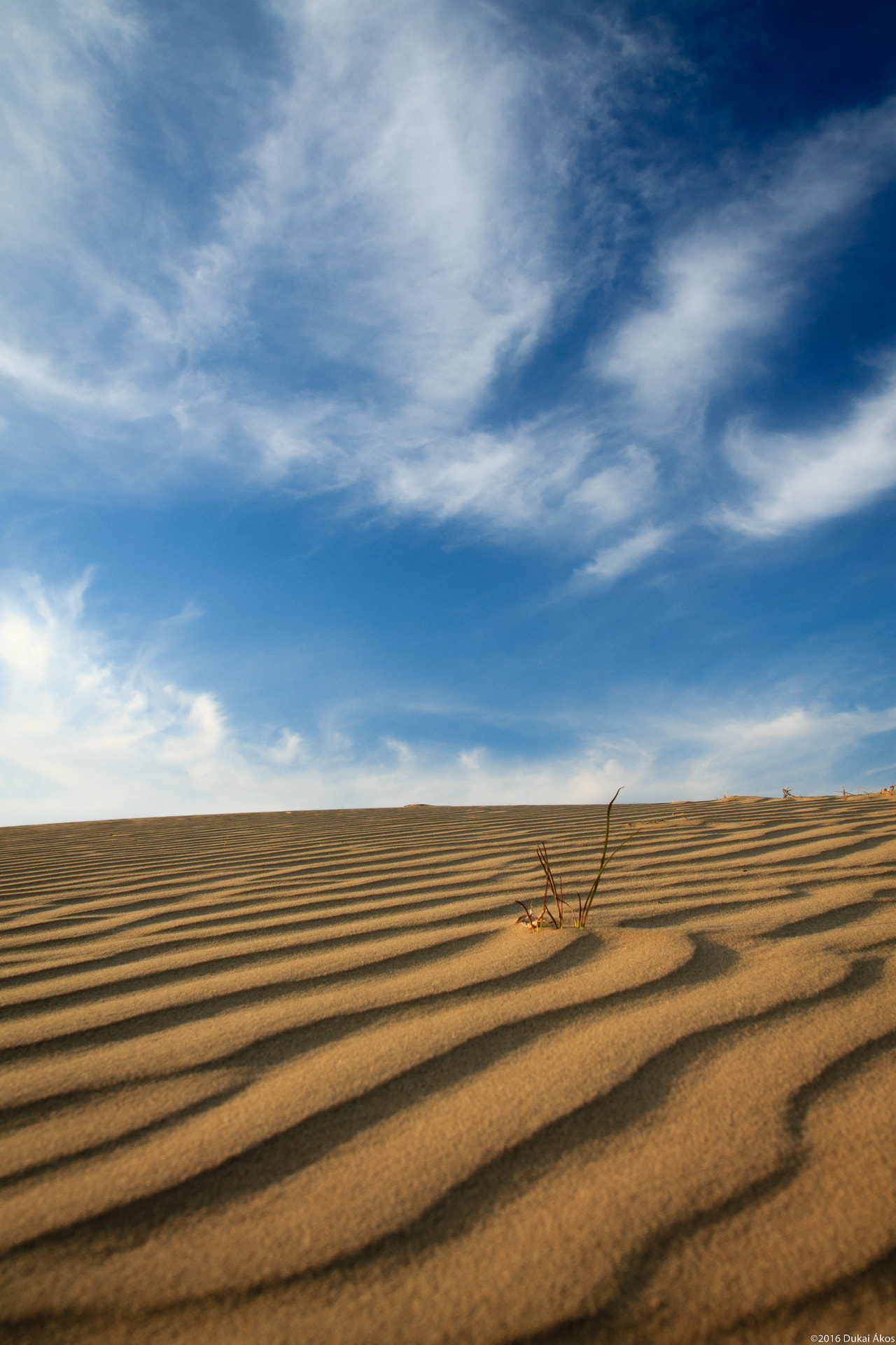 Tamron SP AF 17-50mm F2.8 XR Di II LD Aspherical (IF) sample photo. Sand dune photography