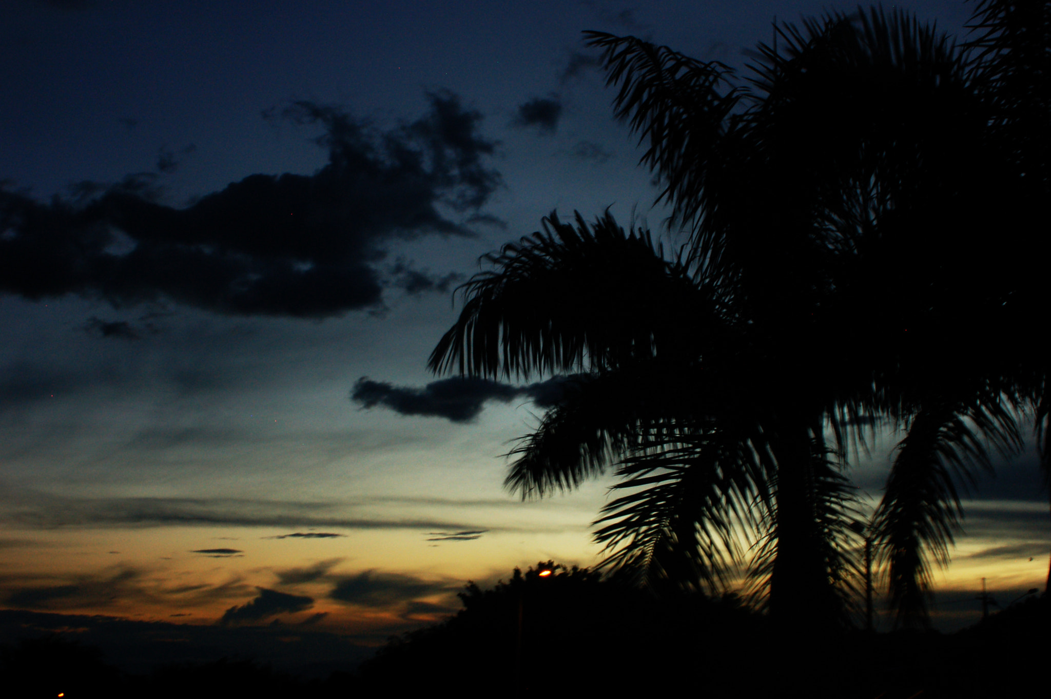 AF Zoom-Nikkor 35-135mm f/3.5-4.5 N sample photo. Pastel photography