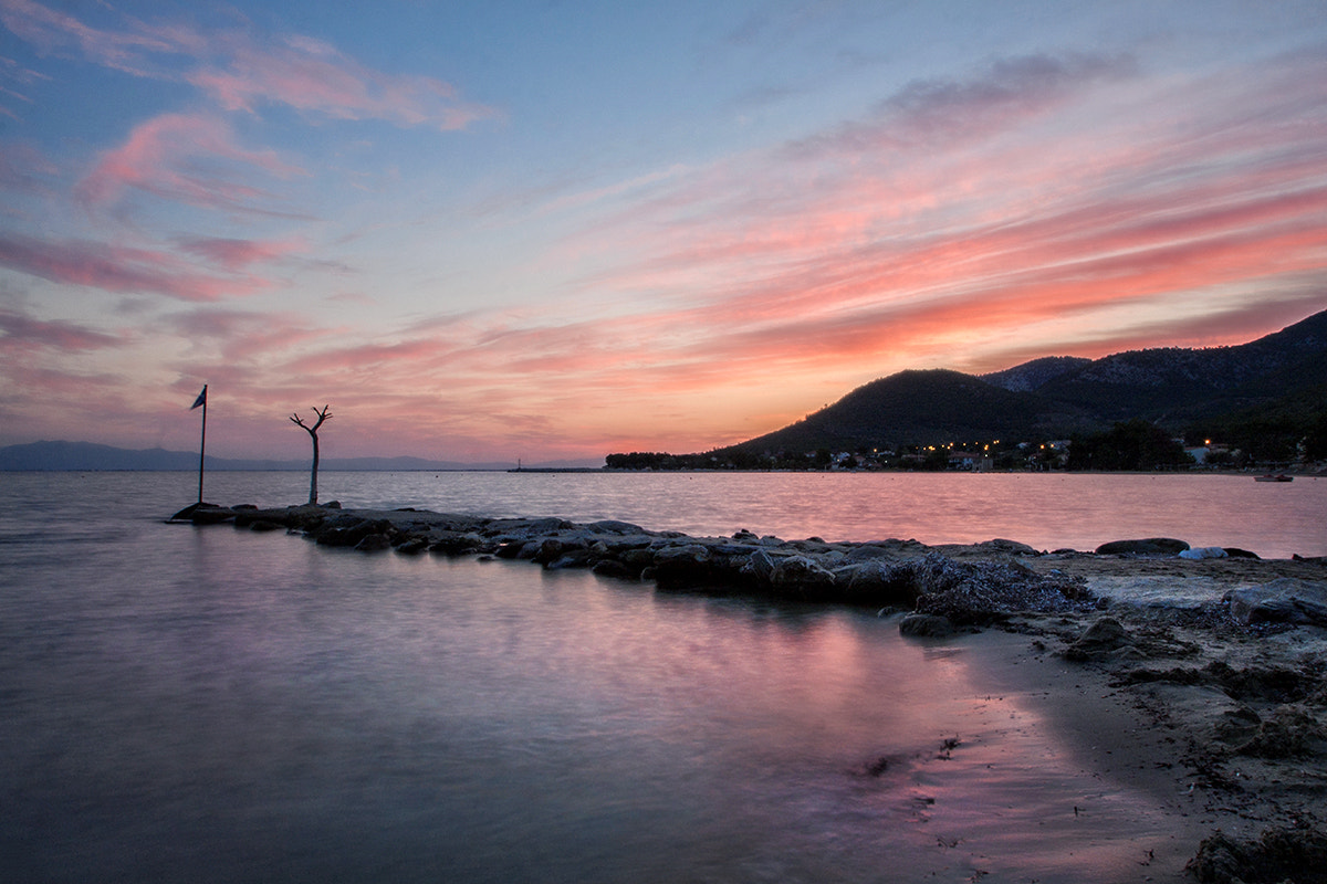 Sigma 10-20mm F3.5 EX DC HSM sample photo. Colored dreams photography