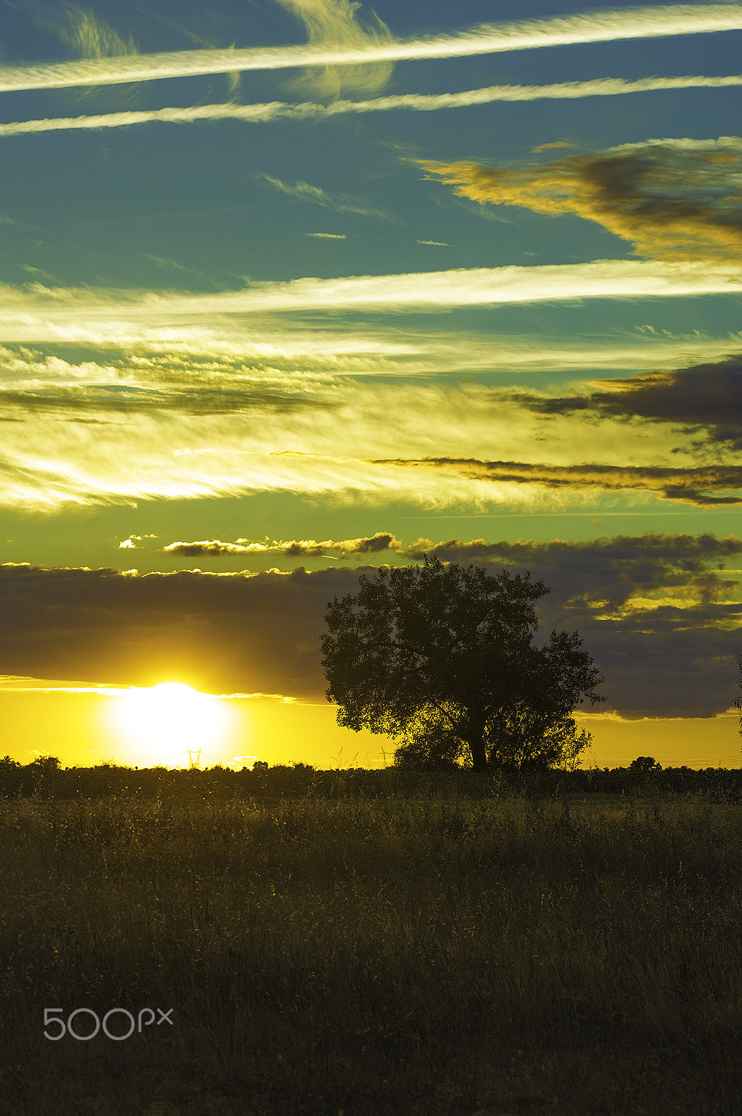 Sigma 70-200mm F2.8 EX DG OS HSM sample photo. Atardecer photography