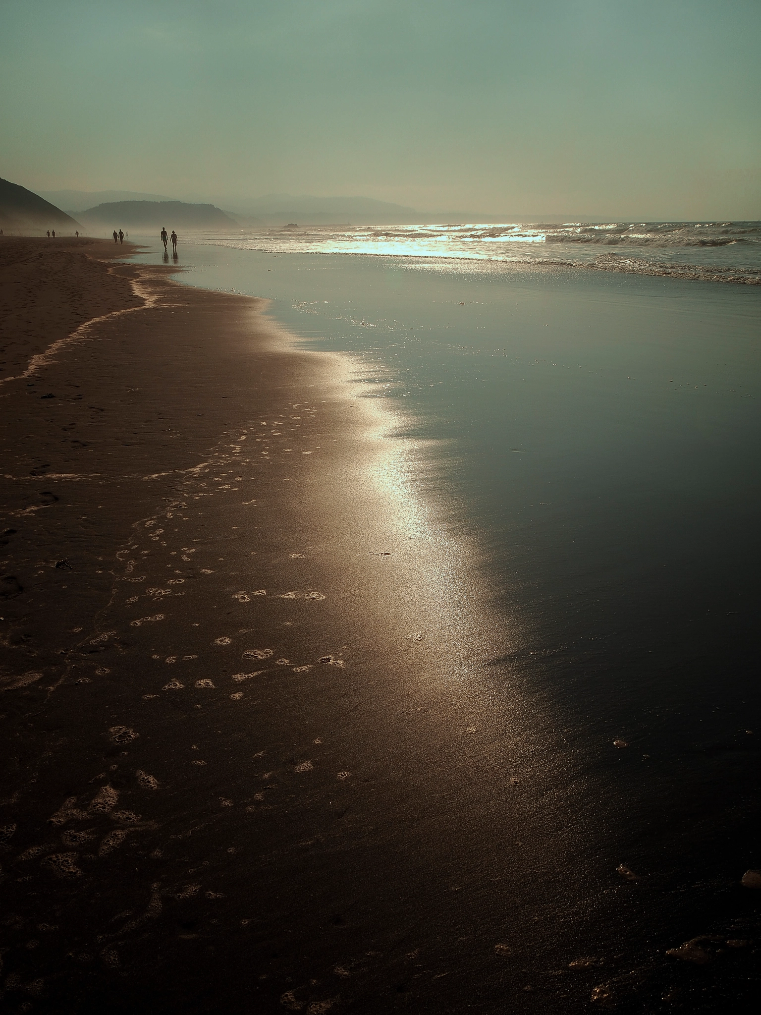 Olympus OM-D E-M1 sample photo. 'golden reflections' photography