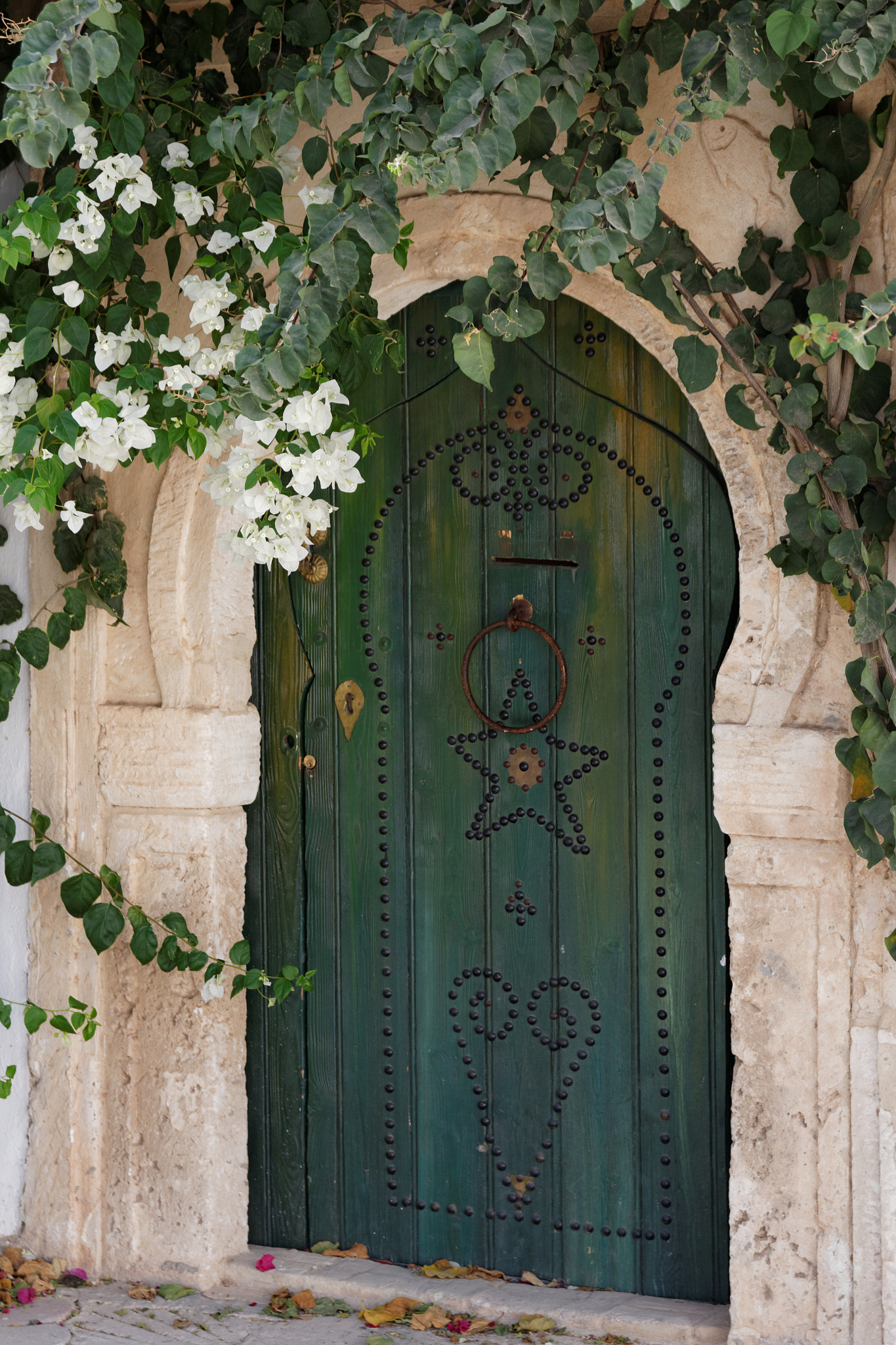 Canon EOS 100D (EOS Rebel SL1 / EOS Kiss X7) sample photo. Djerbahood photography