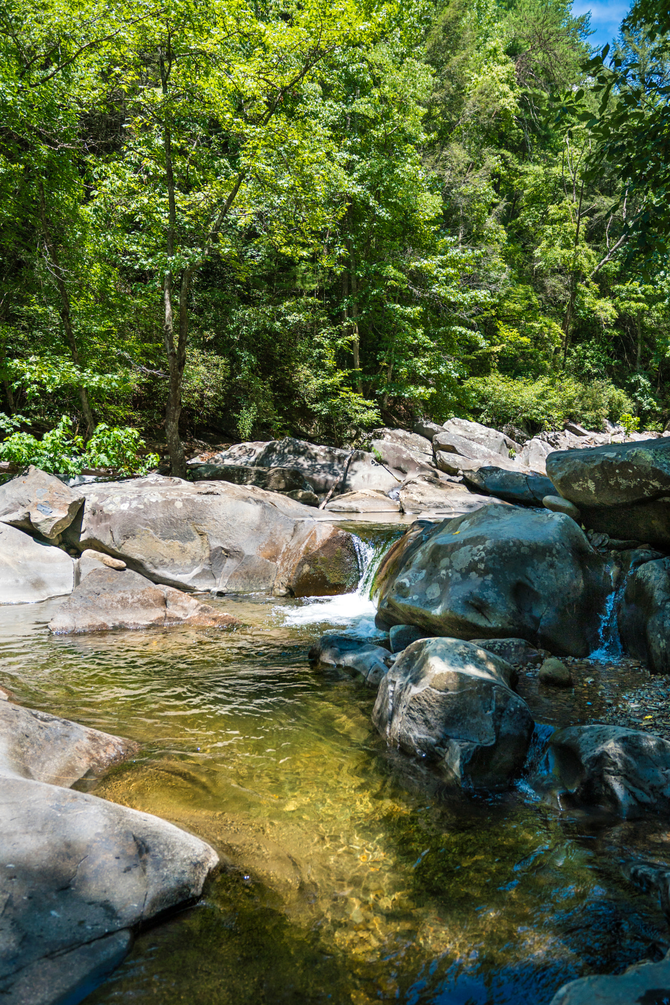 Sony a6300 + 18-35mm F1.8 DC HSM | Art 013 sample photo. Summer photography