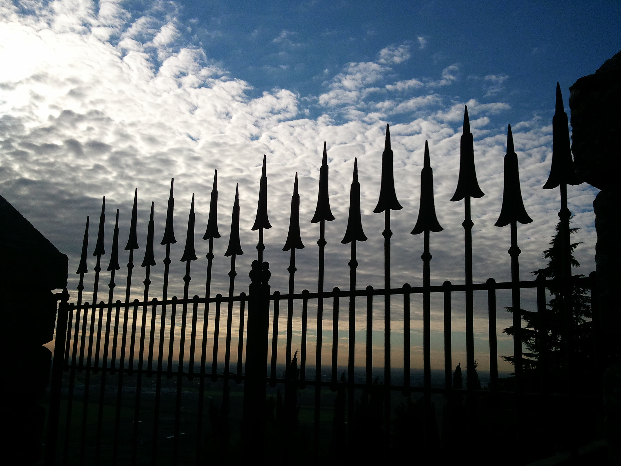 Samsung Galaxy S sample photo. Gates photography