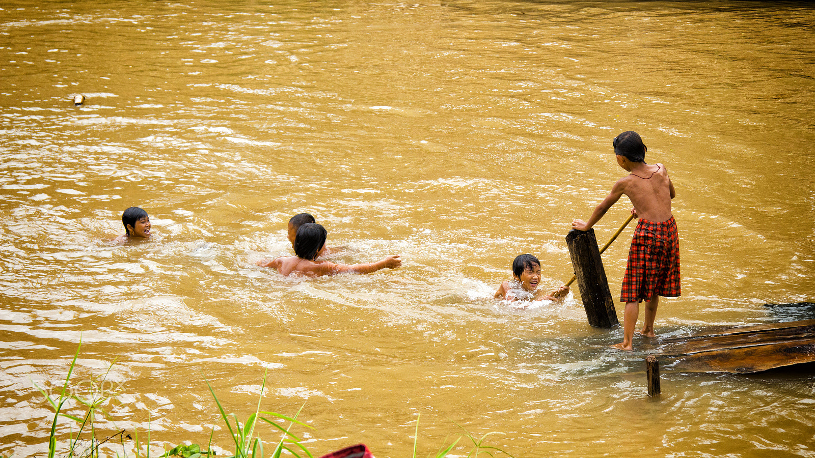 Canon EF-S 17-85mm F4-5.6 IS USM sample photo. Good swim photography