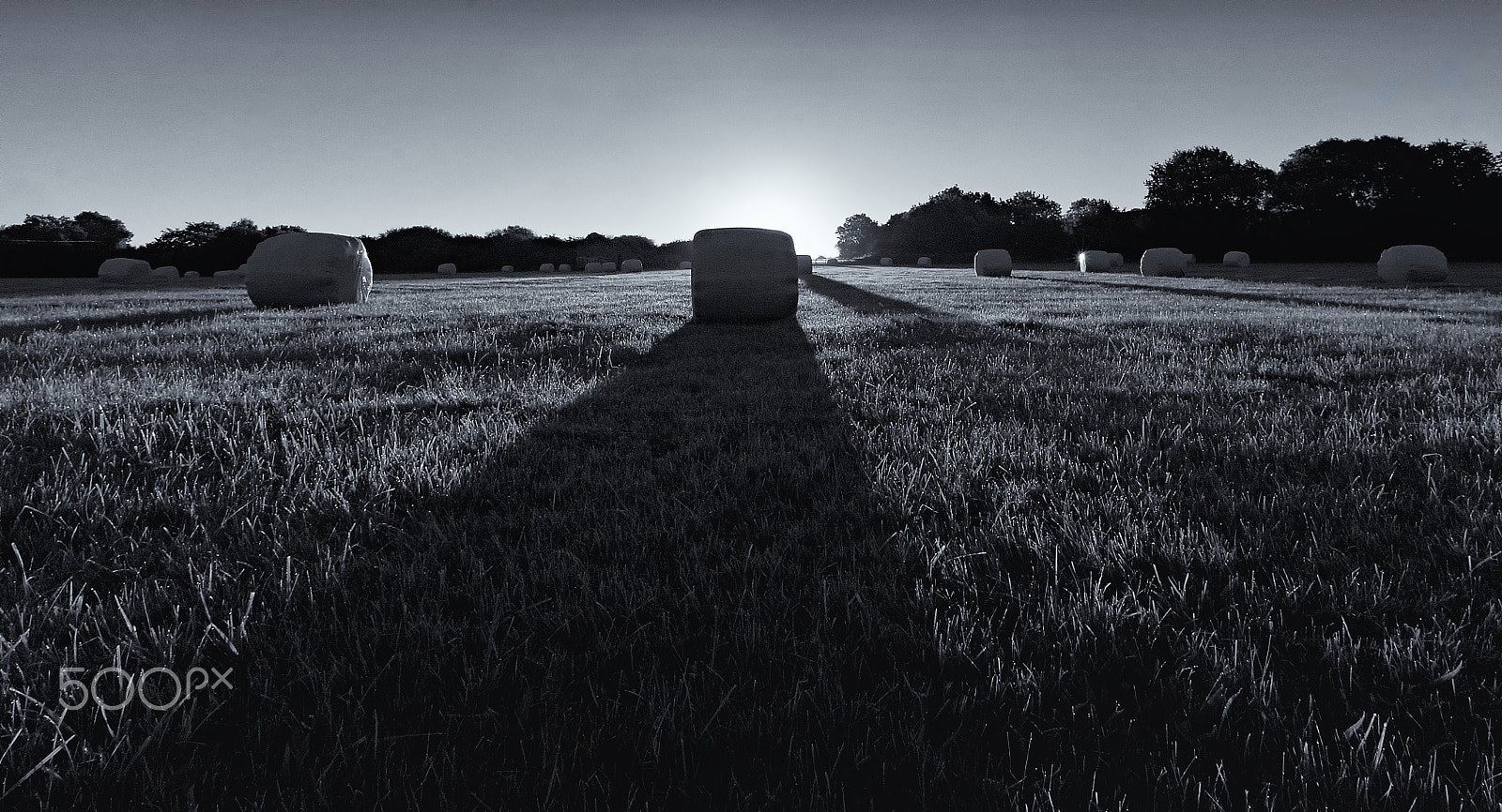 Sony SLT-A37 sample photo. Harvest sunrise photography