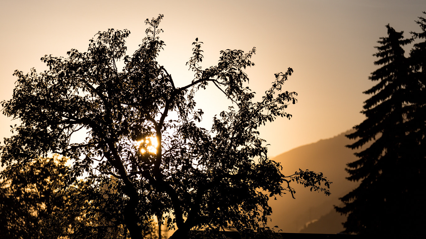 Canon EF 28-300mm F3.5-5.6L IS USM sample photo. Abendstimmig photography