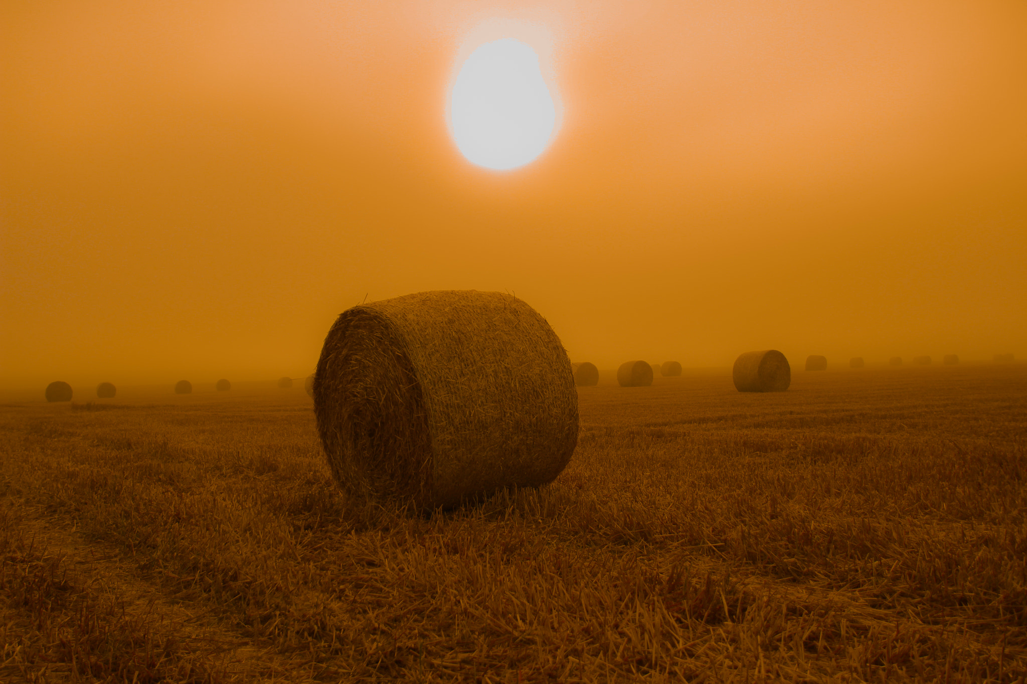 Canon EOS 100D (EOS Rebel SL1 / EOS Kiss X7) sample photo. Round baller in the foggy countryside photography