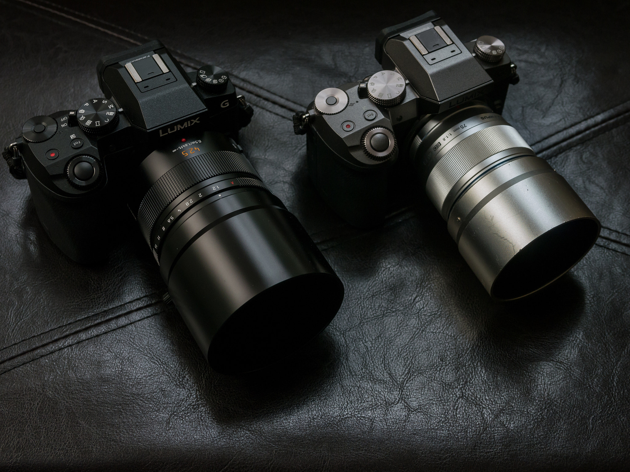 Panasonic Lumix DMC-G5 + Panasonic Leica DG Summilux 25mm F1.4 II ASPH sample photo. Serious business photography