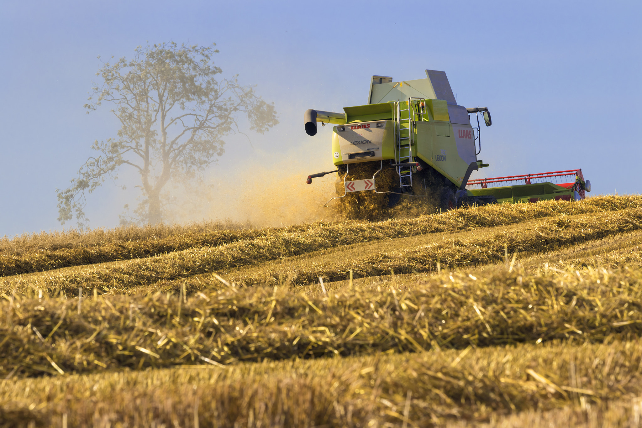 Canon EOS 80D + Canon EF 70-200mm F4L IS USM sample photo. The combine the swaths and the tree photography