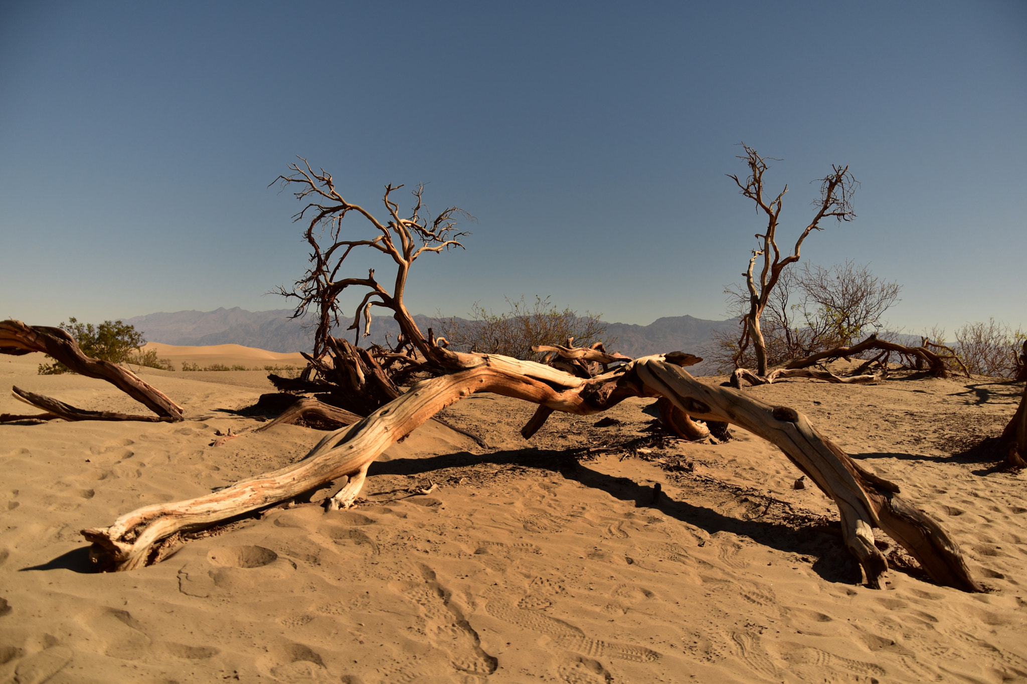 Nikon D5500 sample photo. Death valley photography