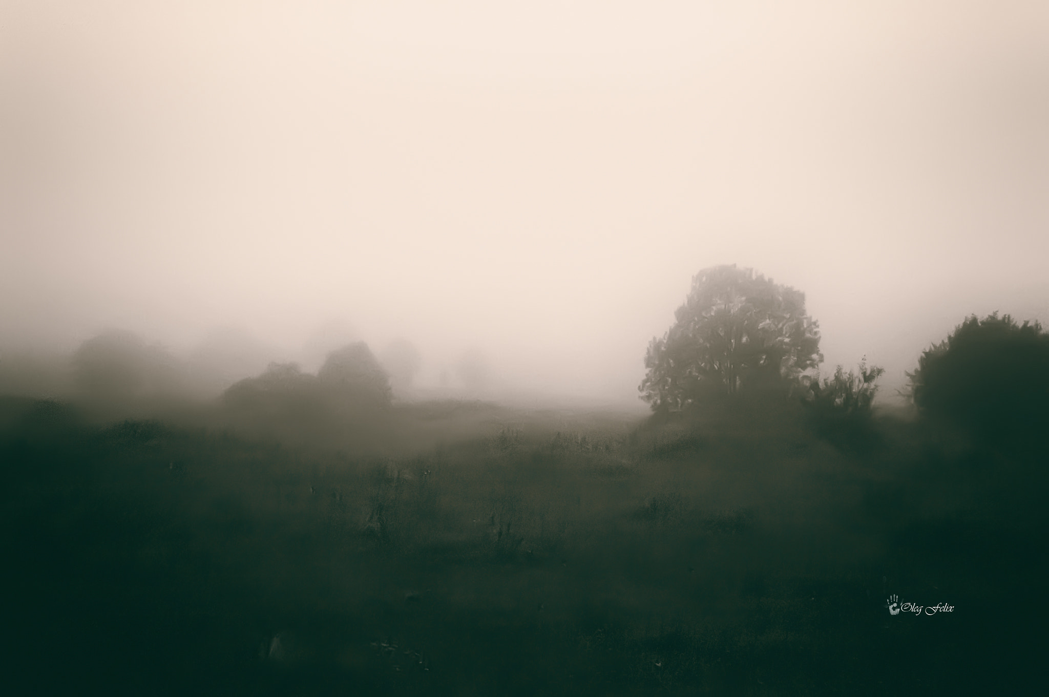 Sony SLT-A37 sample photo. Fog...fog...a thick veil.. photography
