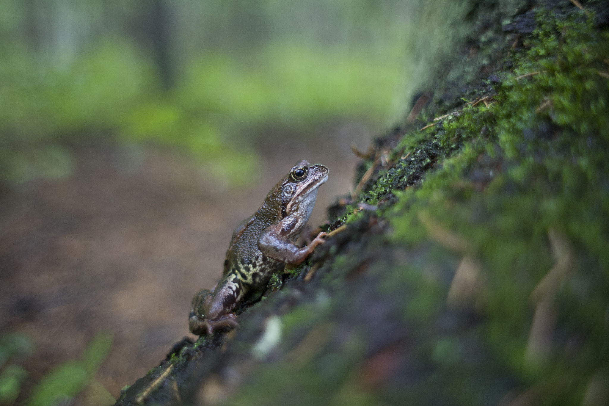 Canon EOS 5D + Canon EF 28mm F1.8 USM sample photo