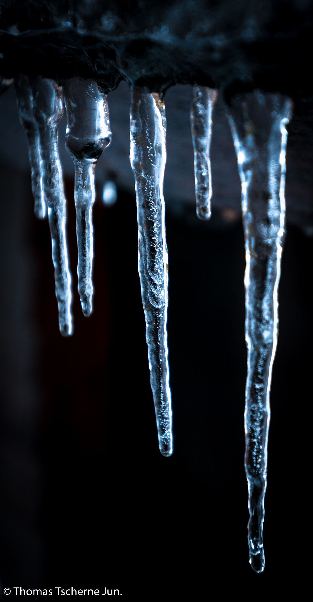 Sony Vario-Sonnar T* 16-35mm F2.8 ZA SSM II sample photo. -ice ice baby- photography