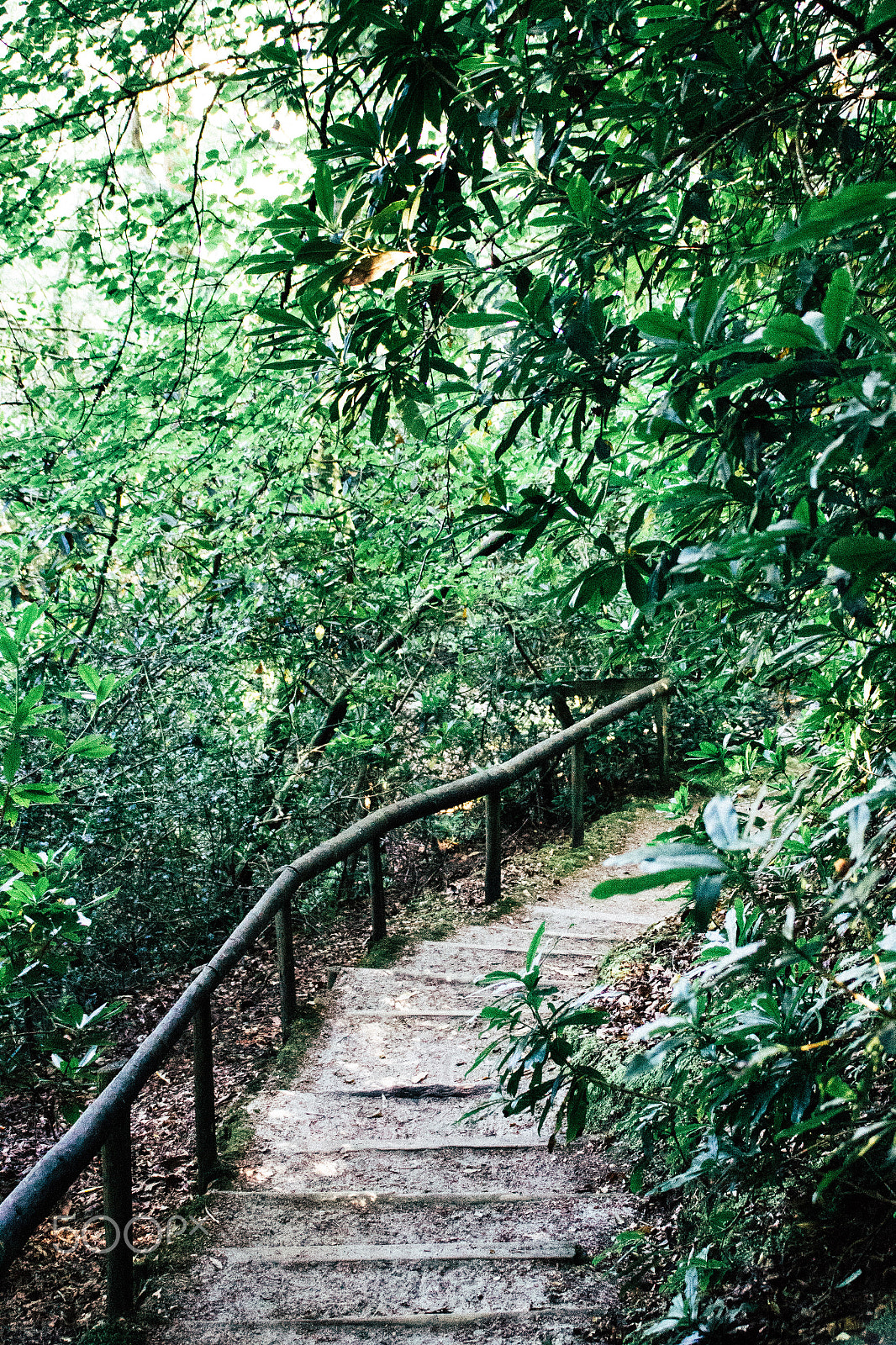 Canon EF 75-300mm F4.0-5.6 IS USM sample photo. Stairway to the blue pool in dorset photography