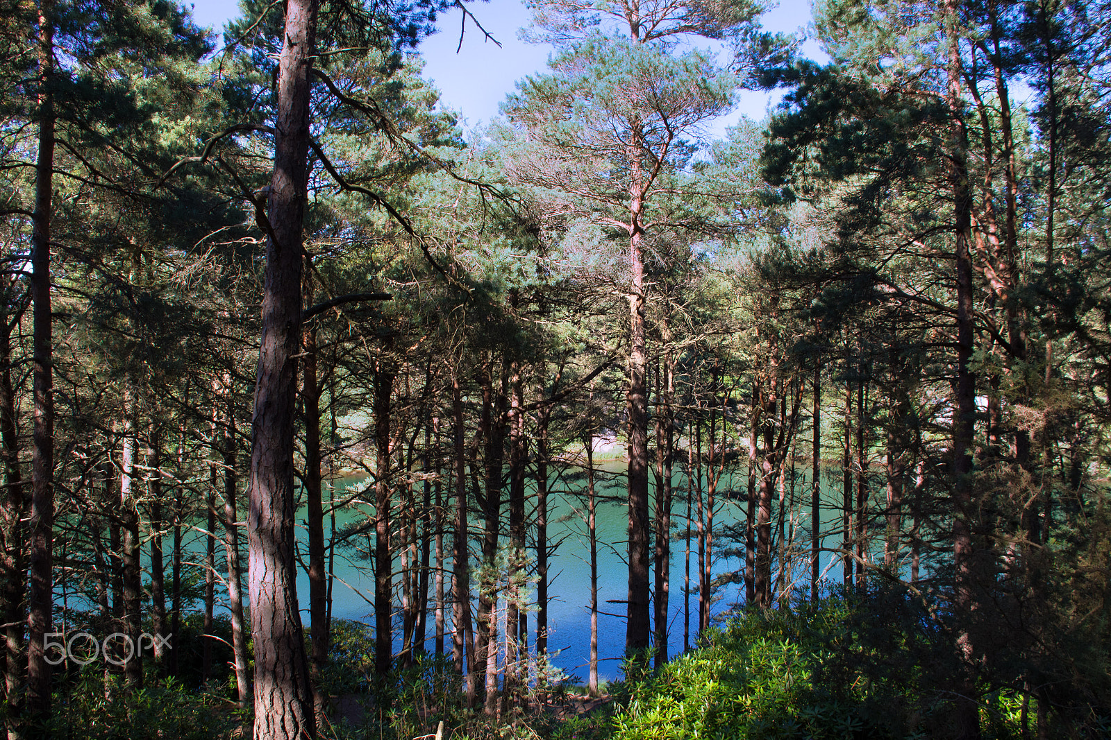 Canon EF 75-300mm F4.0-5.6 IS USM sample photo. Blue pool in dorset photography