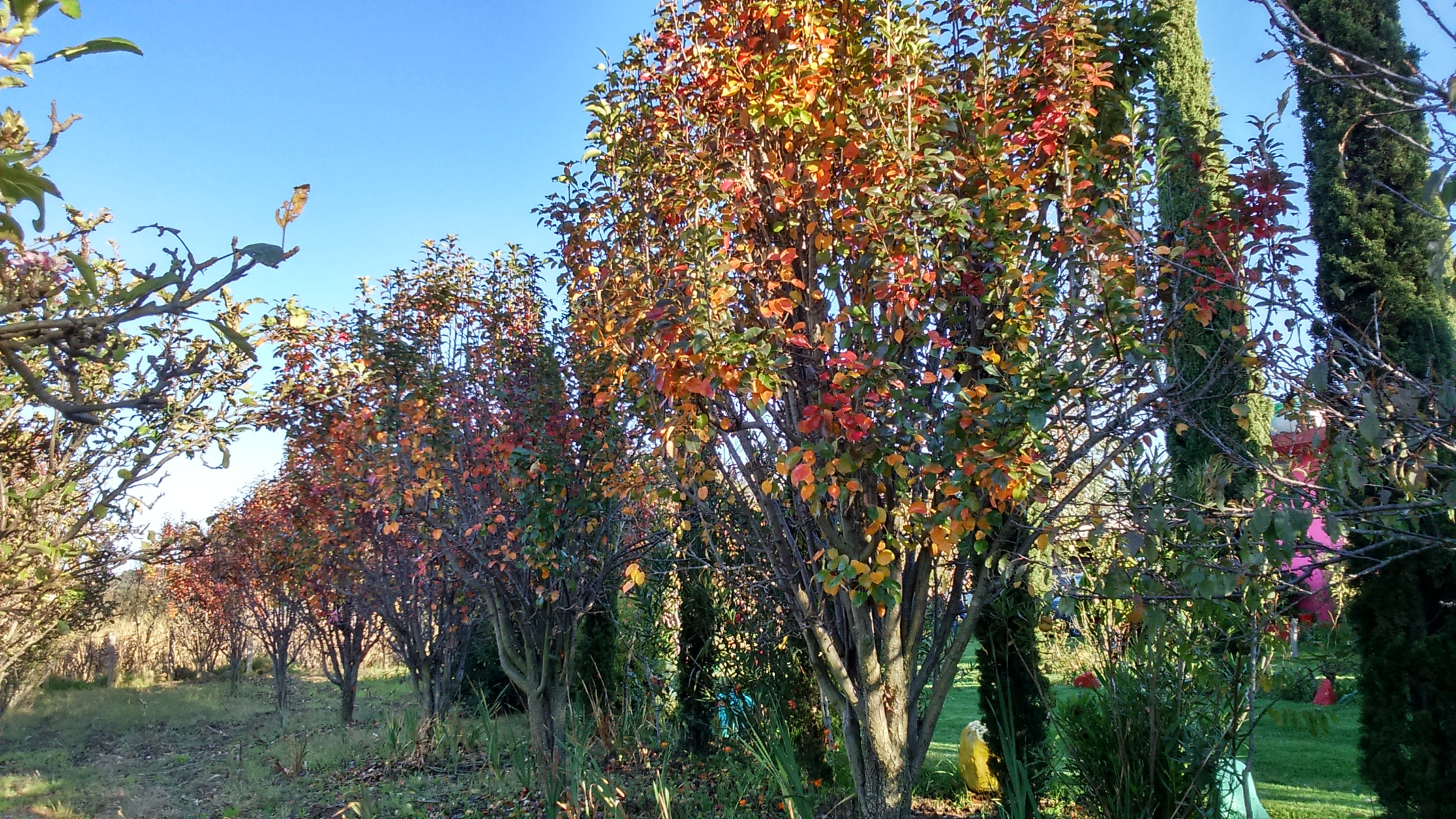Sony Xperia M2 sample photo