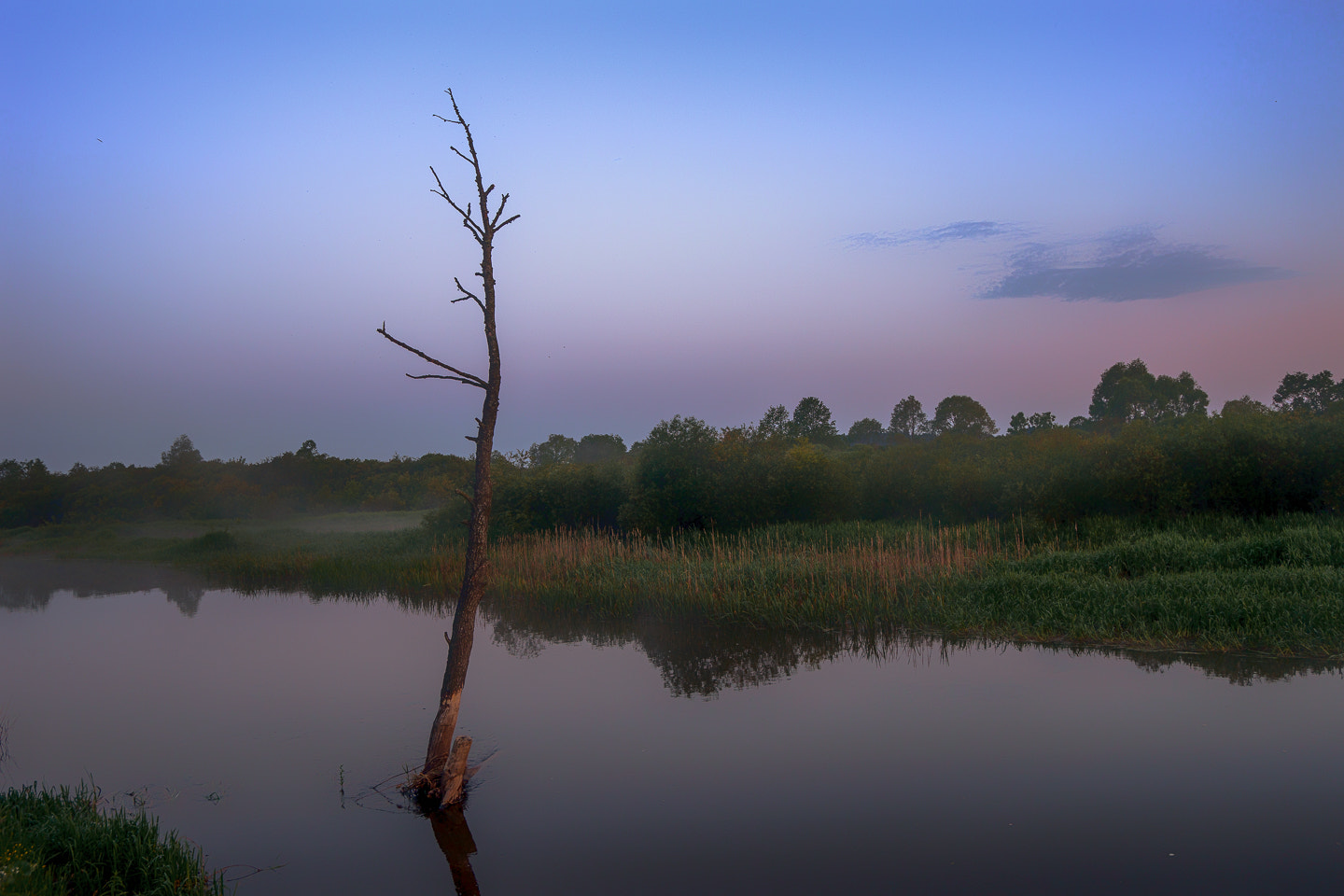 Sony a99 II + Sony Vario-Sonnar T* 16-35mm F2.8 ZA SSM sample photo. неман photography