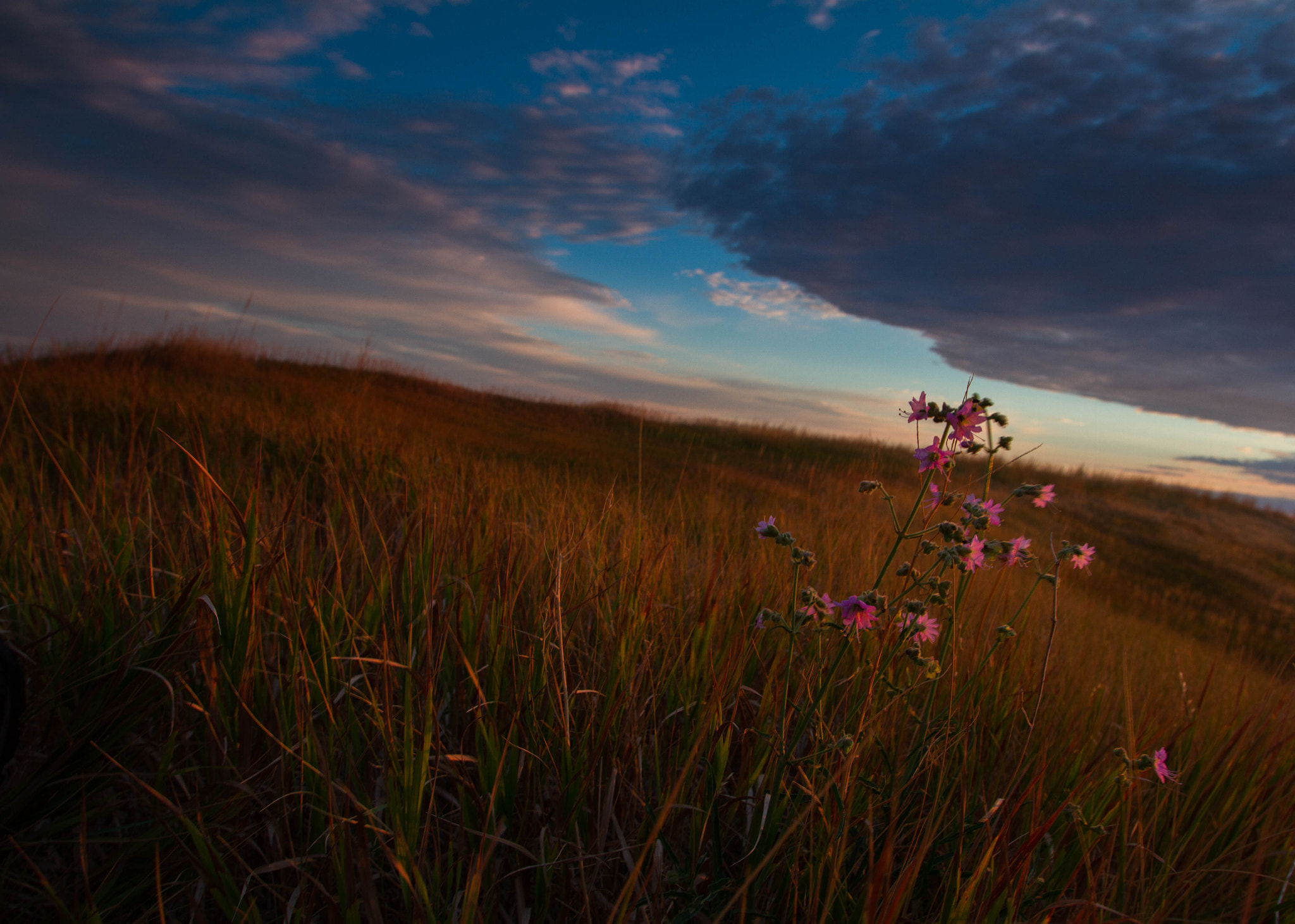 Canon EOS 7D + Canon EF 16-35mm F2.8L USM sample photo. Sunrise photography