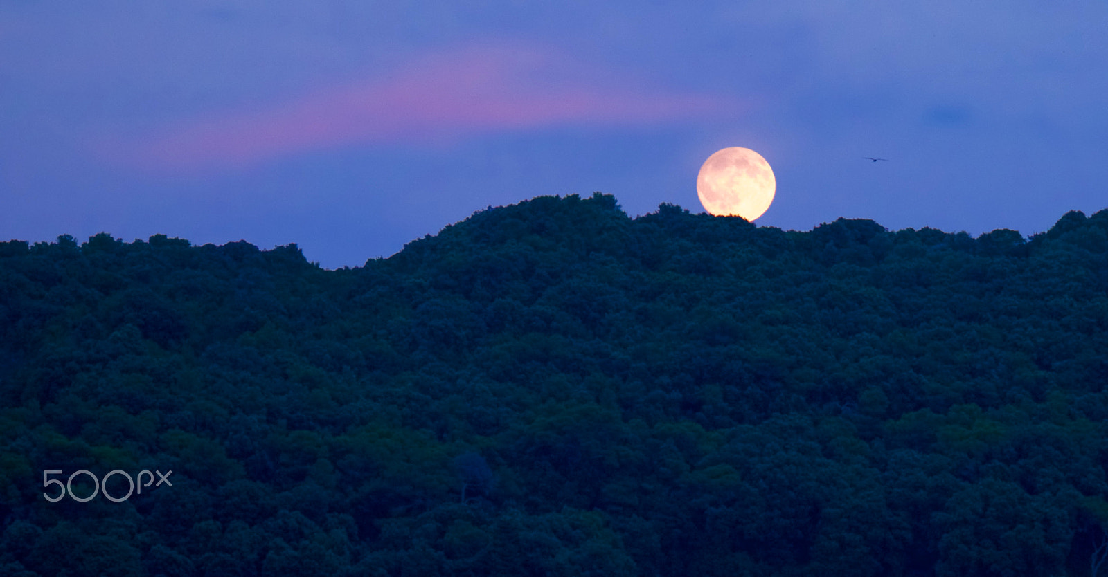 LUMIX G VARIO 45-150/F4.0-5.6 sample photo. Spunta la luna dal monte (the moon) photography