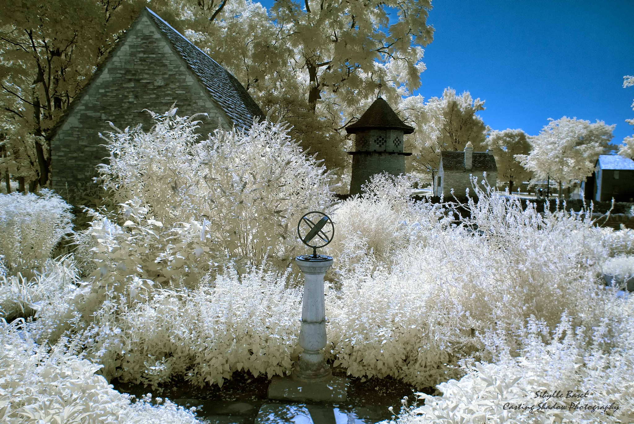 Nikon 1 J1 sample photo. Infrared photography