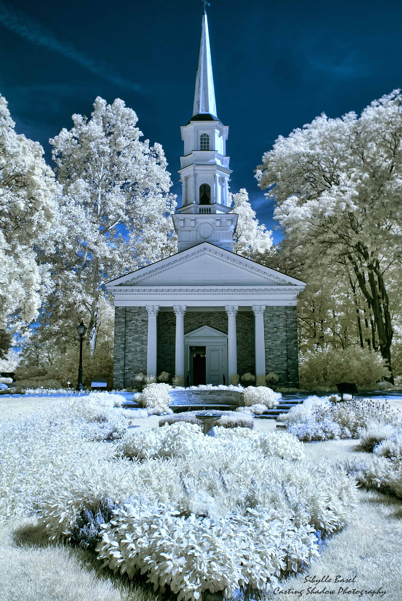 Nikon 1 J1 sample photo. Infrared photography