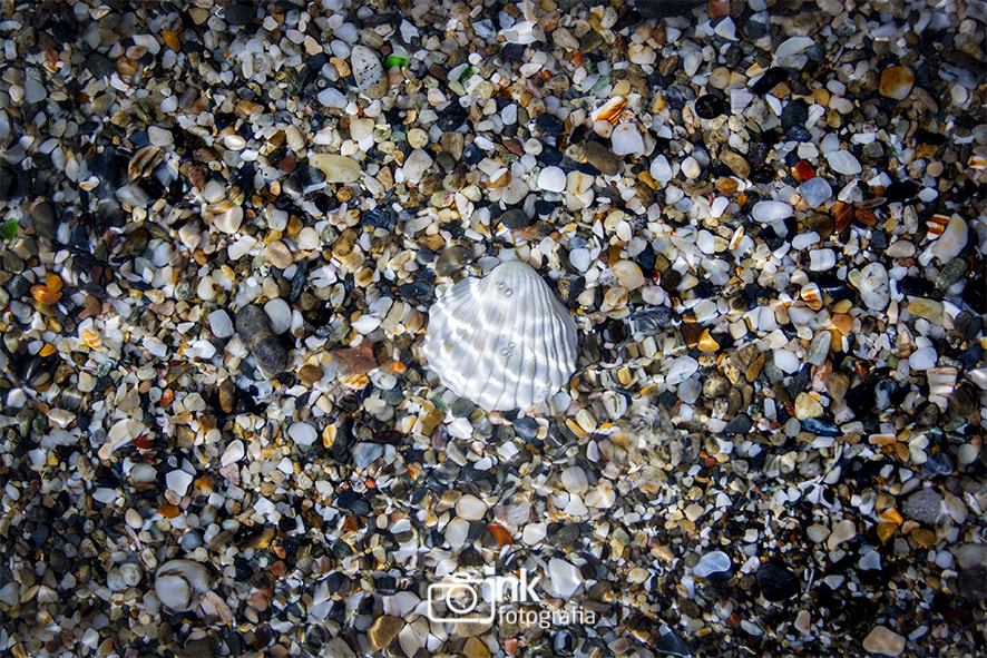 Canon EF 35-80mm f/4-5.6 sample photo. La concha blanca photography