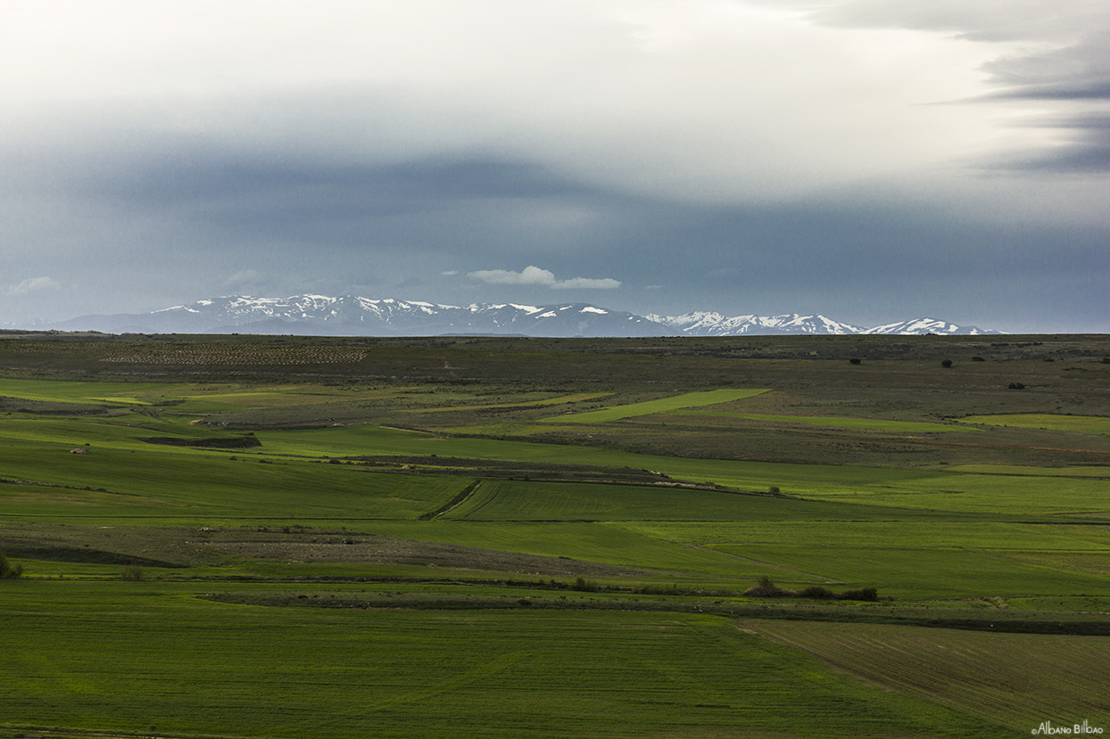 Canon EF 24-70mm F4L IS USM sample photo. Verdes prados photography