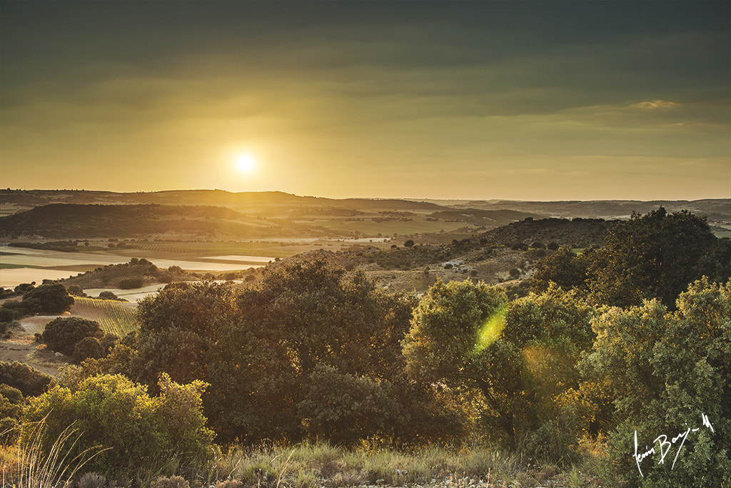 Canon EF-S 24mm F2.8 STM sample photo. Atardecer photography