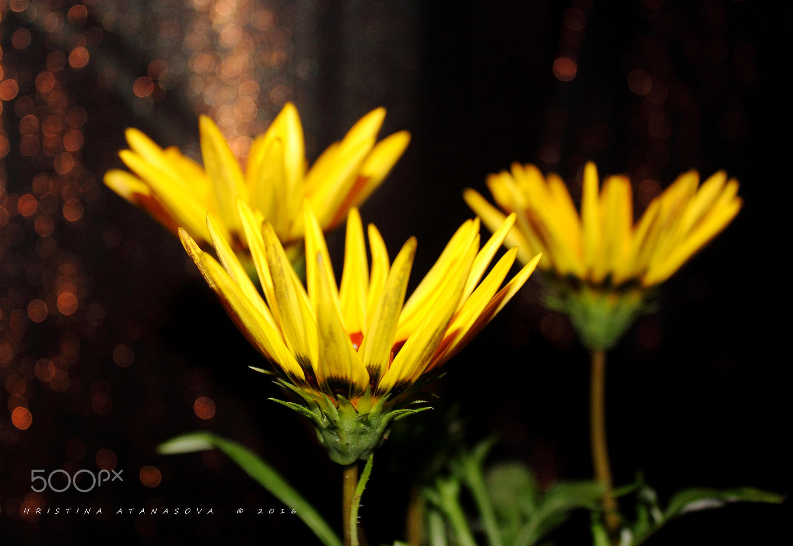 Canon EF-S 18-55mm F3.5-5.6 IS sample photo. Good night sleeping time... photography
