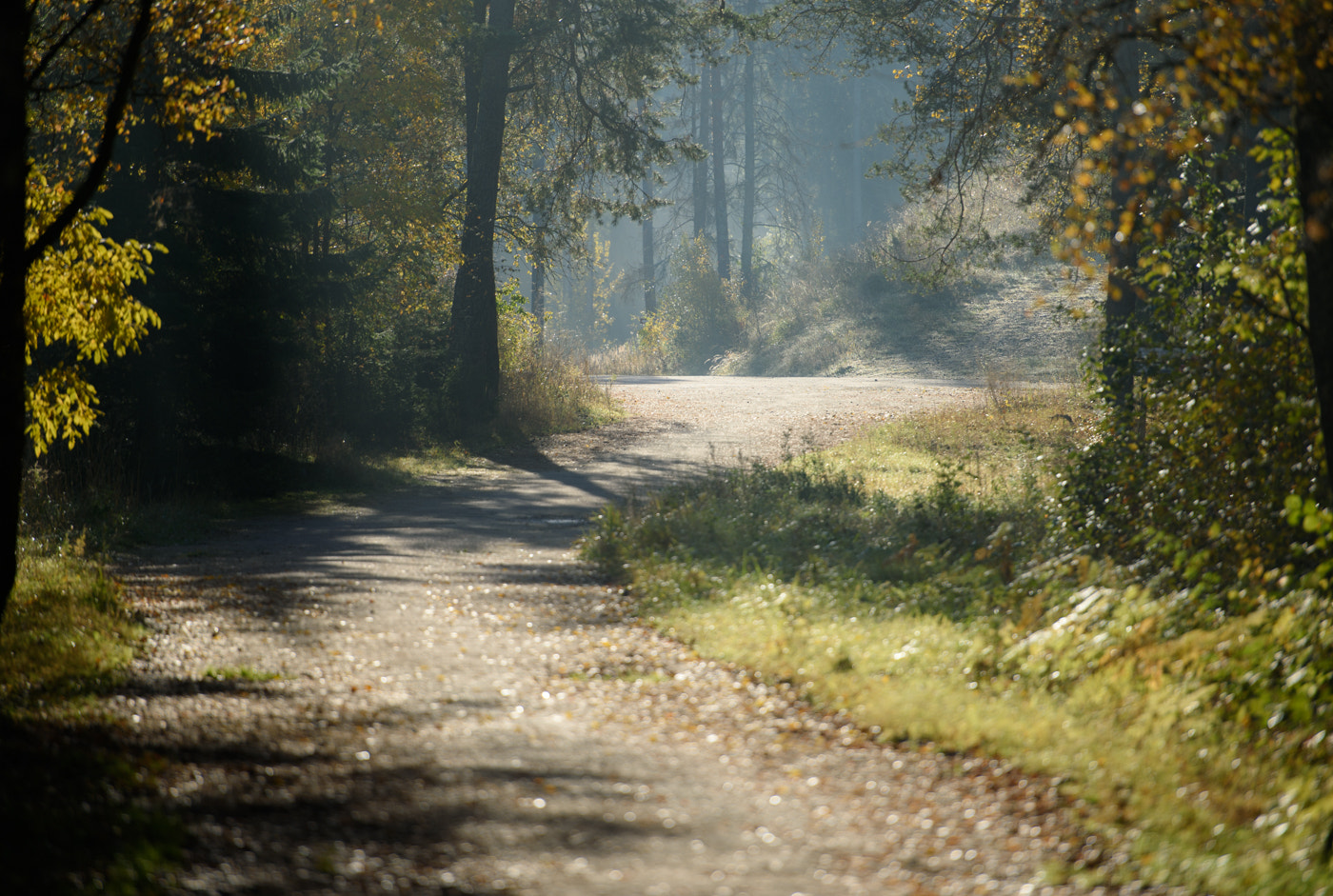 Nikon Df sample photo. Way photography