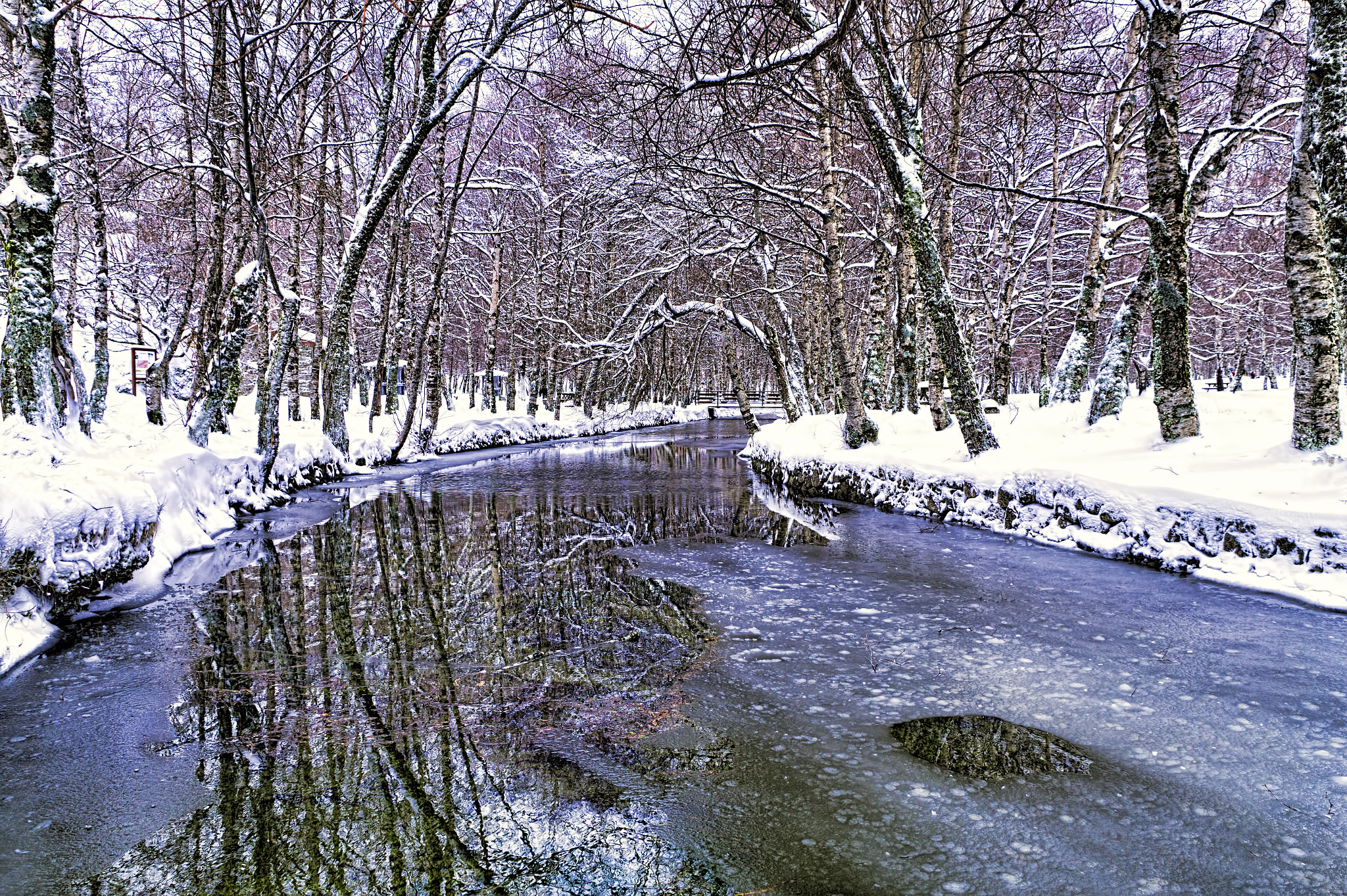 Sony DT 16-105mm F3.5-5.6 sample photo. Almost frozen photography