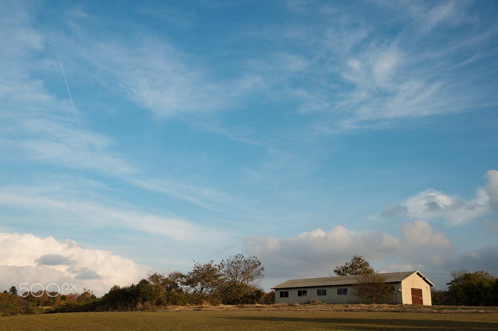 Nikon Df sample photo. Last summer photography